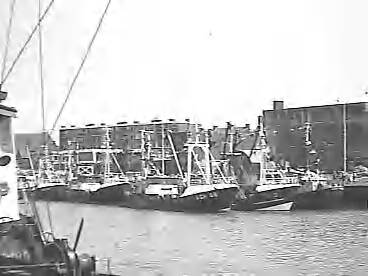 Fotocollectie Rijksvoorlichtingsdienst Eigen — dias vlaggetjesdag scheveningen — Foto: Schuurman, Ralph L. / RVD. Licentie: Set B: Rechtenvrij / Publiek Domein. Bron: Nationaal Archief. http://hdl.handle.net/10648/af733a9a-d0b4-102d-bcf8-003048976d84