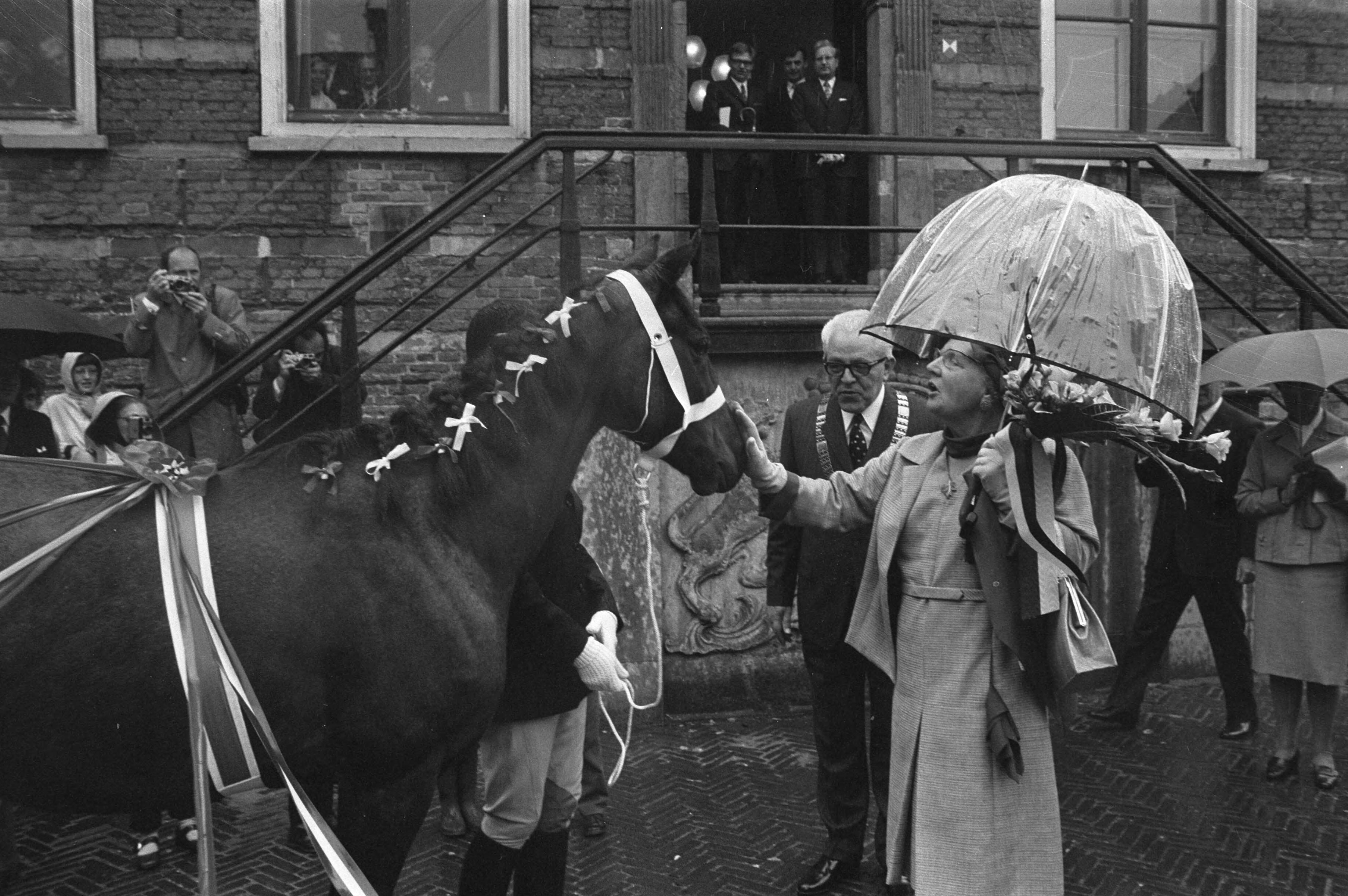 Koningin Juliana tijdens een werkbezoek aan de provincie Utrecht — Koningin Juliana tijdens begroeting met paard van de zeskampploeg, in gezelschap van de burgemeester van IJsselstein, J.G.C.J. Timmermans — Foto: Fotograaf Onbekend / Anefo. Licentie: Set B: Rechtenvrij / Publiek Domein. Bron: Nationaal Archief. http://hdl.handle.net/10648/abeb0132-d0b4-102d-bcf8-003048976d84