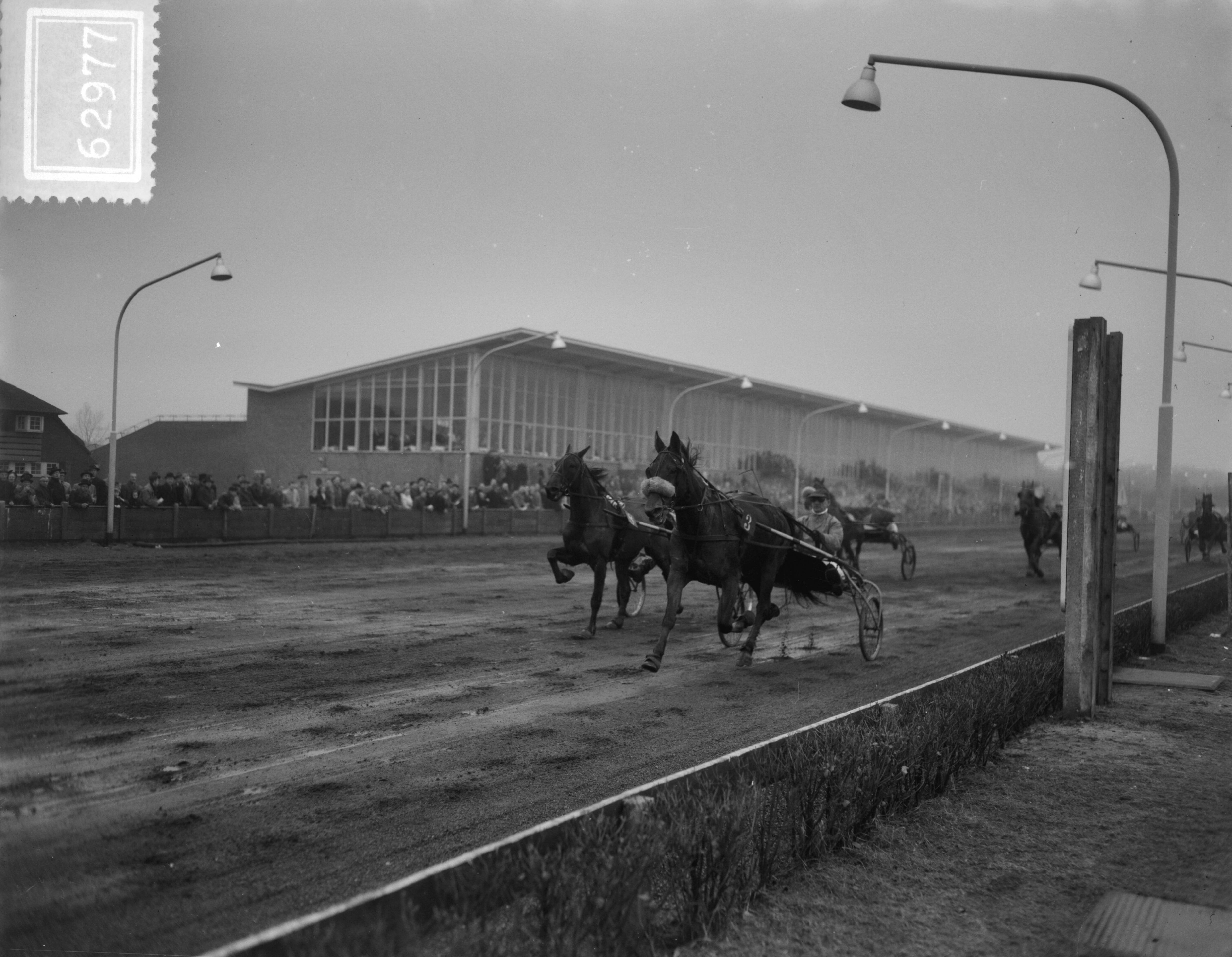 Fotocollectie Anefo — Paardencourses Hilversum — Foto: Duinen, G.W. van / Anefo. Licentie: Set B: Rechtenvrij / Publiek Domein. Bron: Nationaal Archief. http://hdl.handle.net/10648/a91cdb6a-d0b4-102d-bcf8-003048976d84