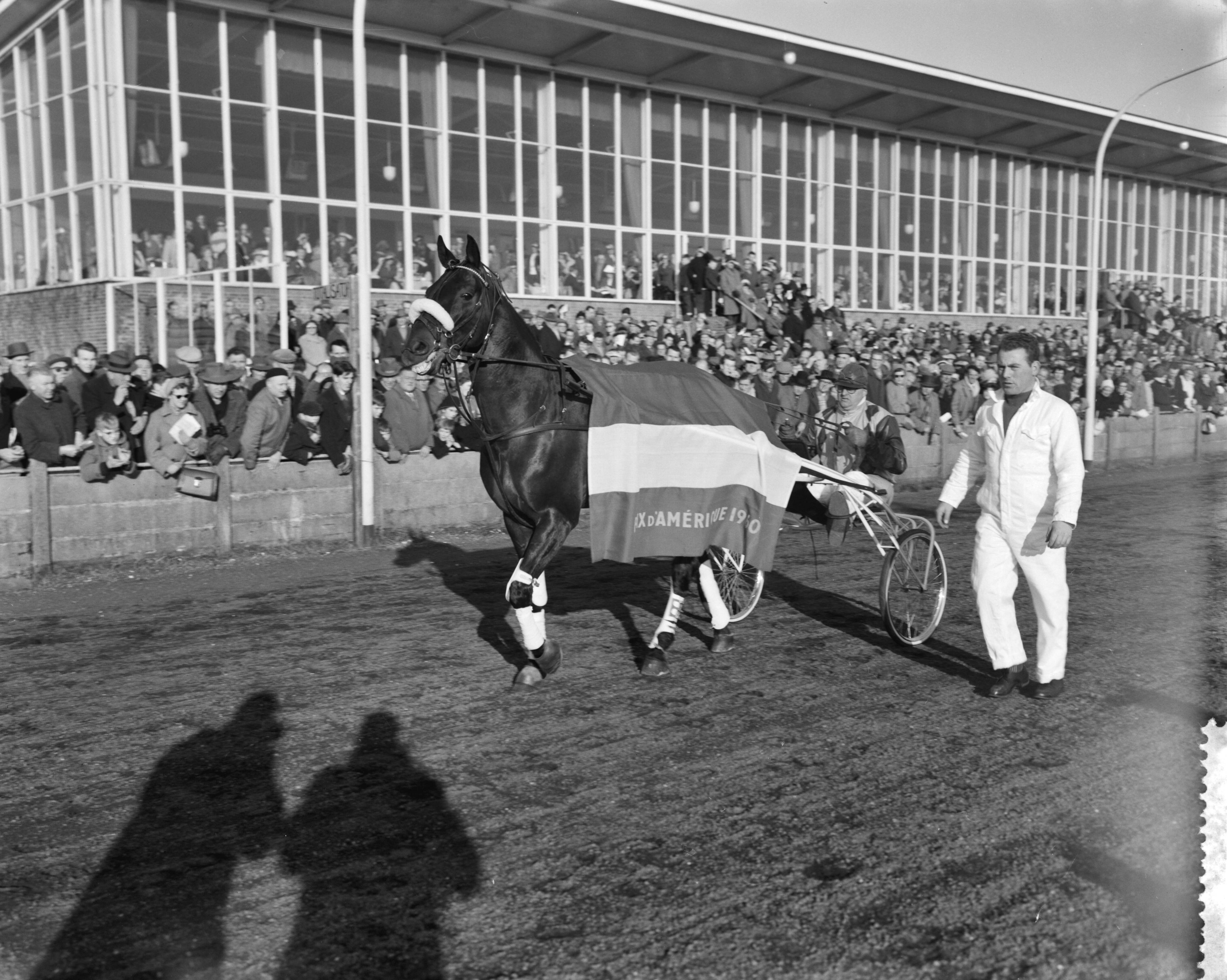 Fotocollectie Anefo — Draverijen te Hilversum, Hairos II met W. H. Geersen — Foto: Rossem, Wim van / Anefo. Licentie: Set B: Rechtenvrij / Publiek Domein. Bron: Nationaal Archief. http://hdl.handle.net/10648/a9a792a0-d0b4-102d-bcf8-003048976d84