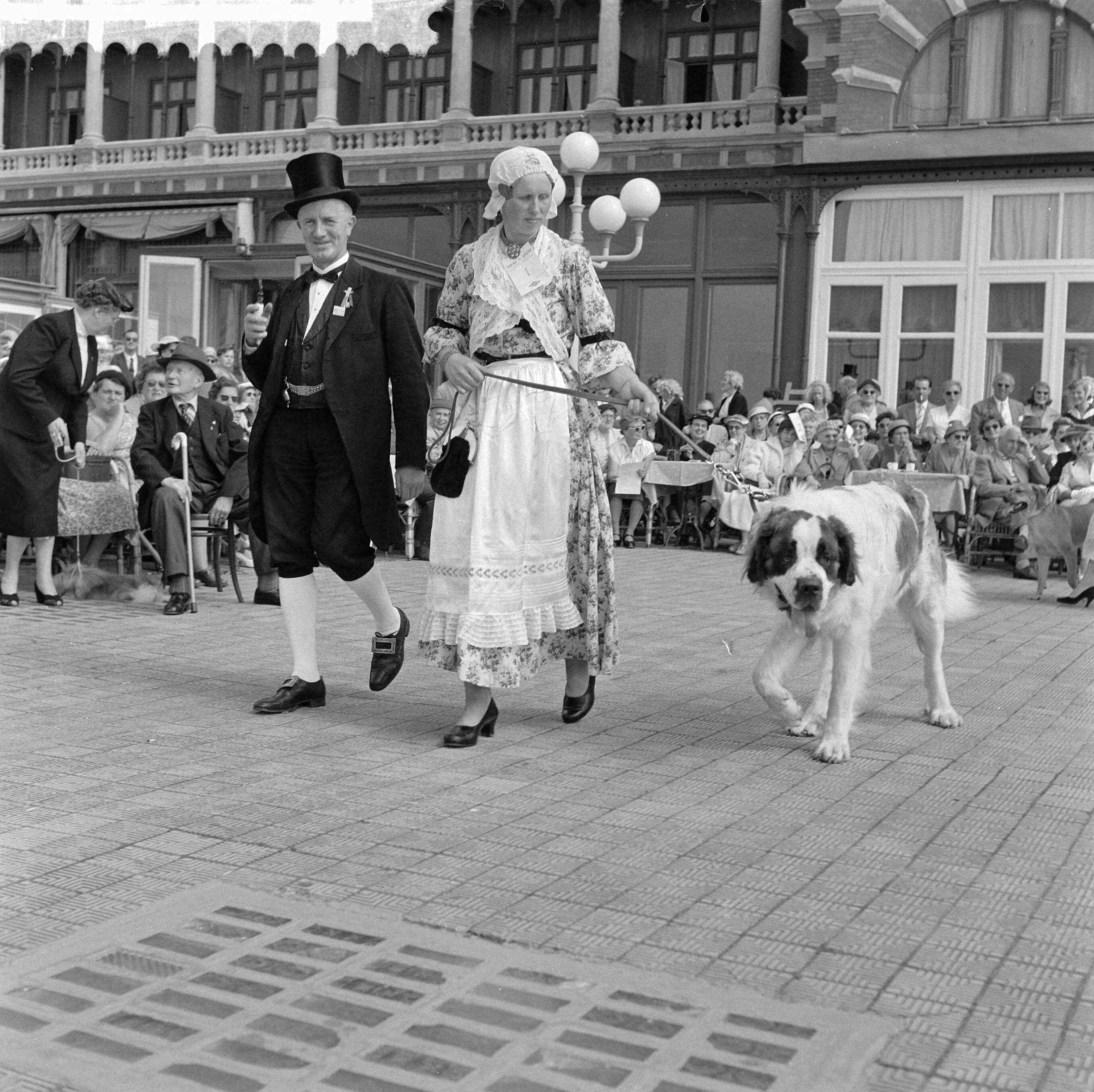 Fotocollectie Anefo — Hondenparade Kurzaalterras te Scheveningen. Paar in West-Friese klederdracht met St. Bernhardhond — Foto: Behrens, Herbert F. / Anefo. Licentie: Set B: Rechtenvrij / Publiek Domein. Bron: Nationaal Archief. http://hdl.handle.net/10648/a9668364-d0b4-102d-bcf8-003048976d84