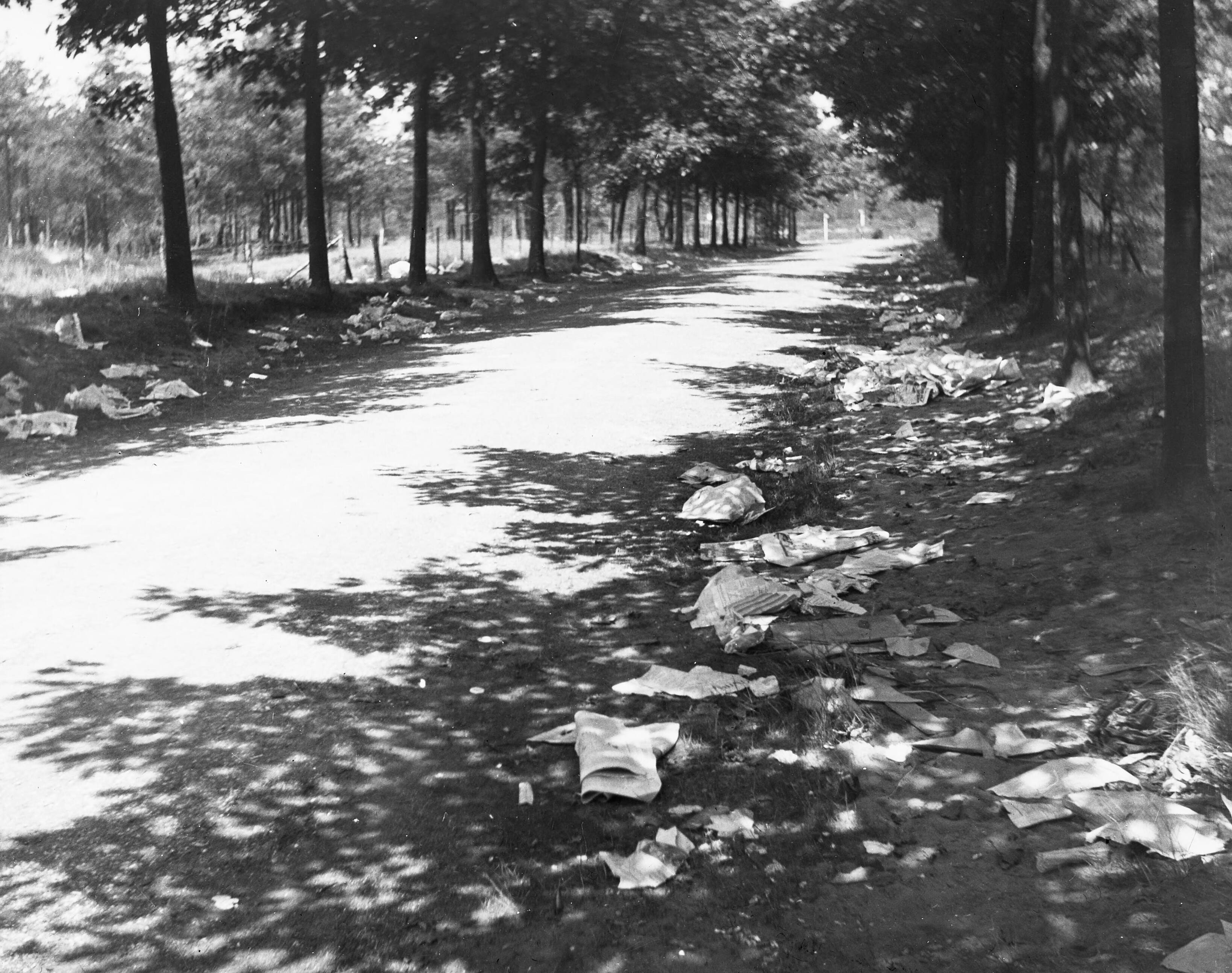 Fotocollectie Nederlandse Heidemaatschappij — papierhout / buitenfeest van de "Vara" / / — Foto: Fotograaf Onbekend / Heidemij. Licentie: Set B: Rechtenvrij / Publiek Domein. Bron: Nationaal Archief. http://hdl.handle.net/10648/ae46d7b2-d0b4-102d-bcf8-003048976d84