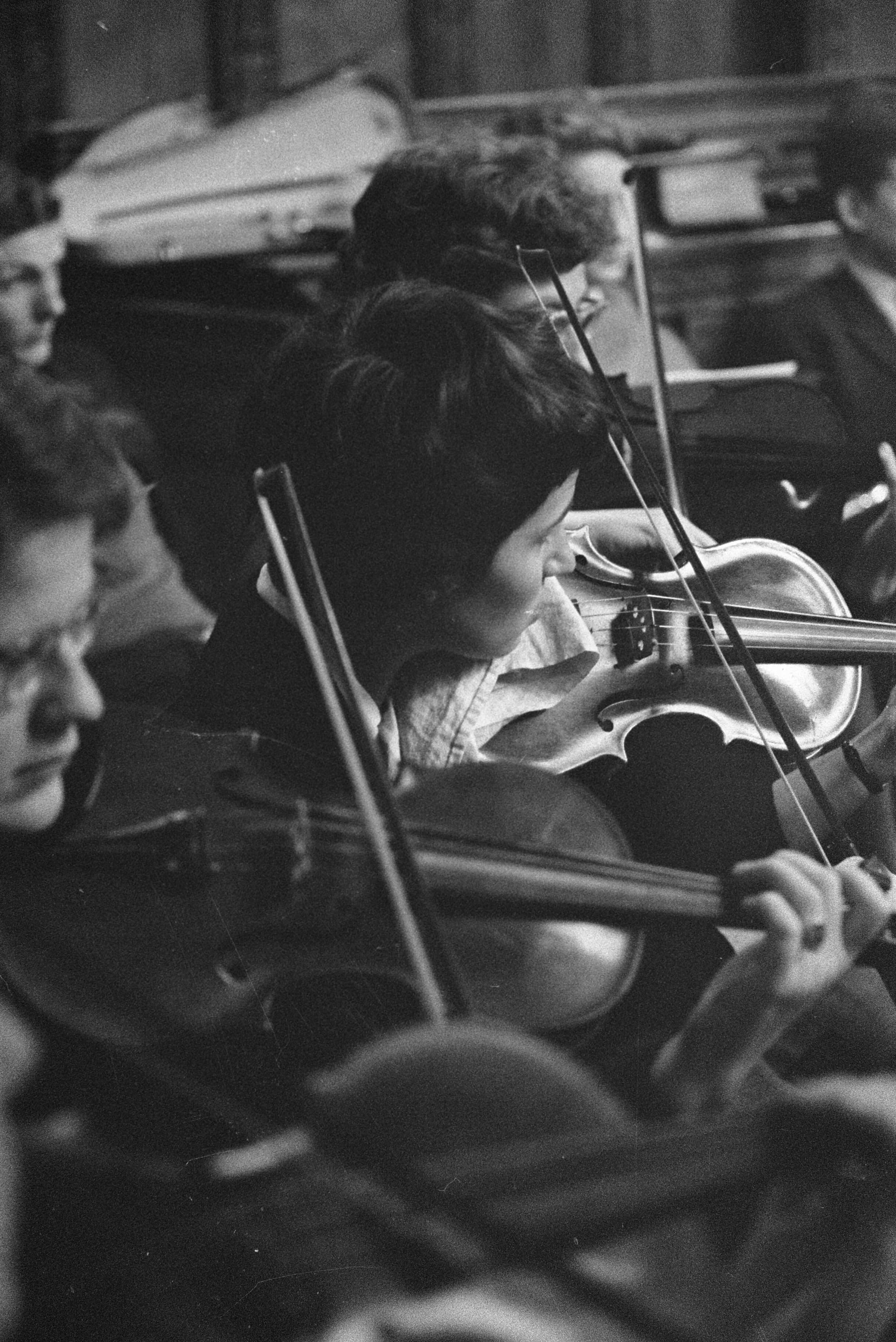 Fotocollectie Anefo — Repetitie van het Nederlands Studenten Orkest in Bergen (N.H.), violisten — Foto: Pot, Harry / Anefo. Licentie: Set B: Rechtenvrij / Publiek Domein. Bron: Nationaal Archief. http://hdl.handle.net/10648/a9c4b9d4-d0b4-102d-bcf8-003048976d84
