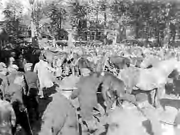 Fotocollectie Anefo — Paardenmarkt in Zuidlaren — Foto: Rossem, Wim van / Anefo. Licentie: Set B: Rechtenvrij / Publiek Domein. Bron: Nationaal Archief. http://hdl.handle.net/10648/a986f1bc-d0b4-102d-bcf8-003048976d84