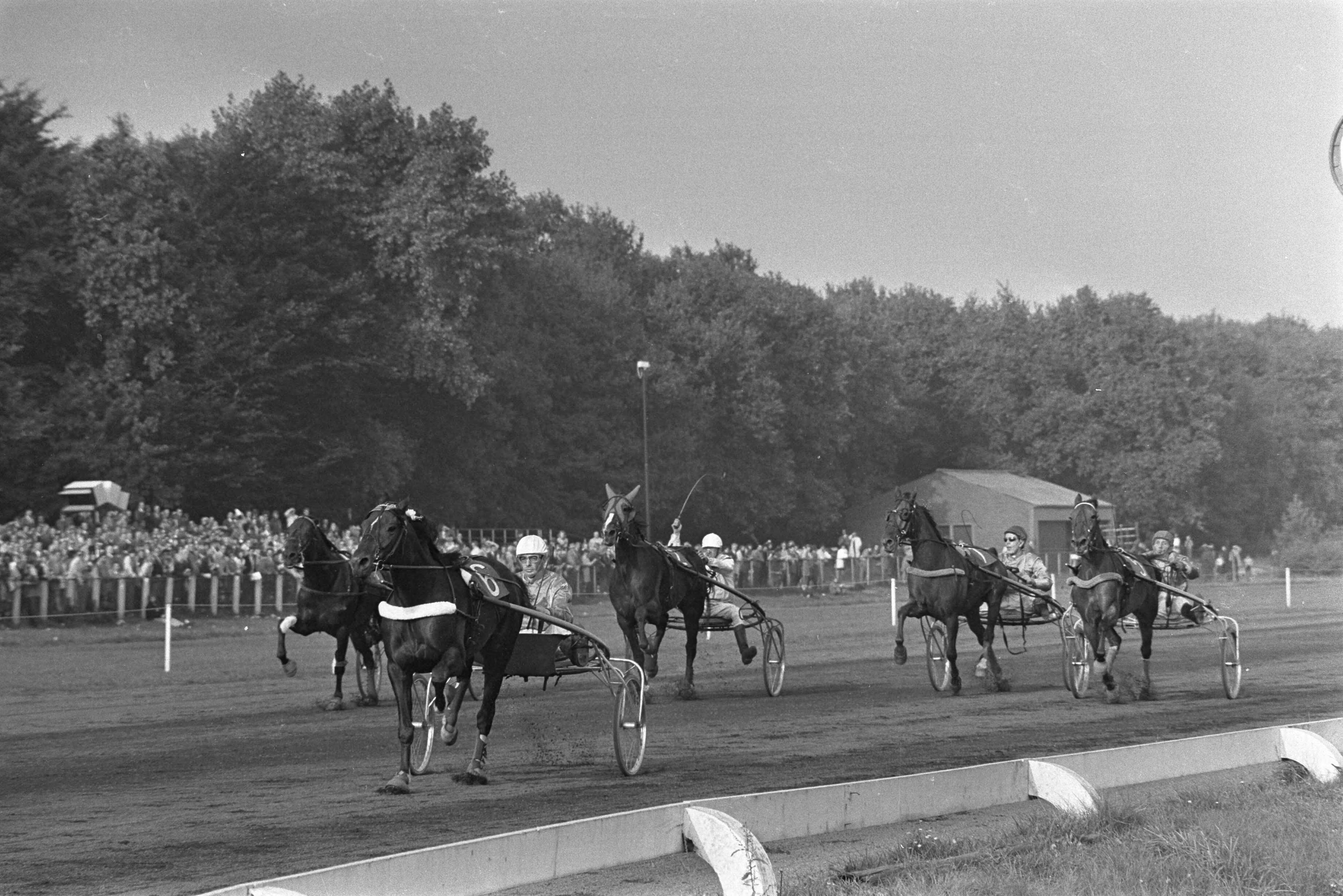 Fotocollectie Anefo — Draverijen op Duindigt, nr. 7 H. Buitenzorg op tweede plaats achter Hit Parade , nr. 8 Henri Buitenzorg met berijder J. Wagenaar jr. (nr. 6) als eerste over — Foto: Mieremet, Rob / Anefo. Licentie: Set B: Rechtenvrij / Publiek Domein. Bron: Nationaal Archief. http://hdl.handle.net/10648/abd0625a-d0b4-102d-bcf8-003048976d84