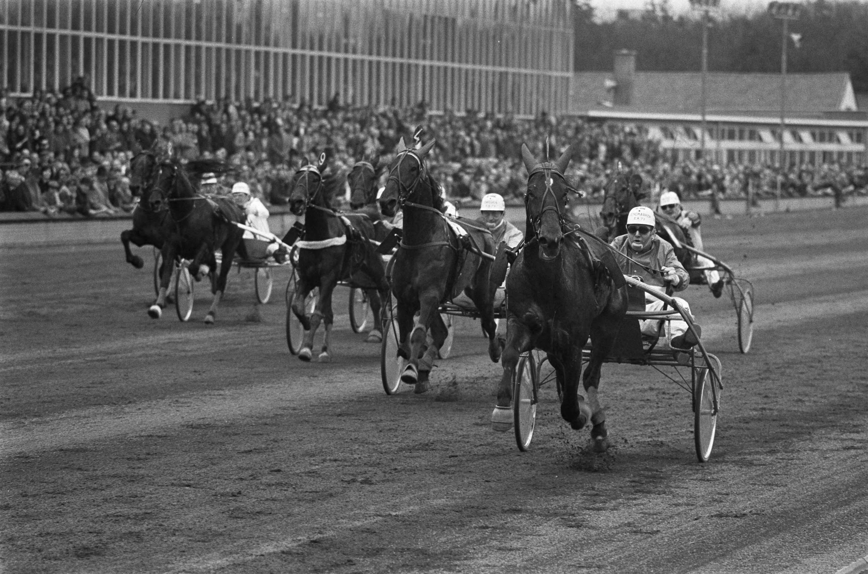Fotocollectie Anefo — Rijders kampioenschap Pikeurs in Hilversum — Foto: Verhoeff, Bert / Anefo. Licentie: Set B: Rechtenvrij / Publiek Domein. Bron: Nationaal Archief. http://hdl.handle.net/10648/ac276e42-d0b4-102d-bcf8-003048976d84