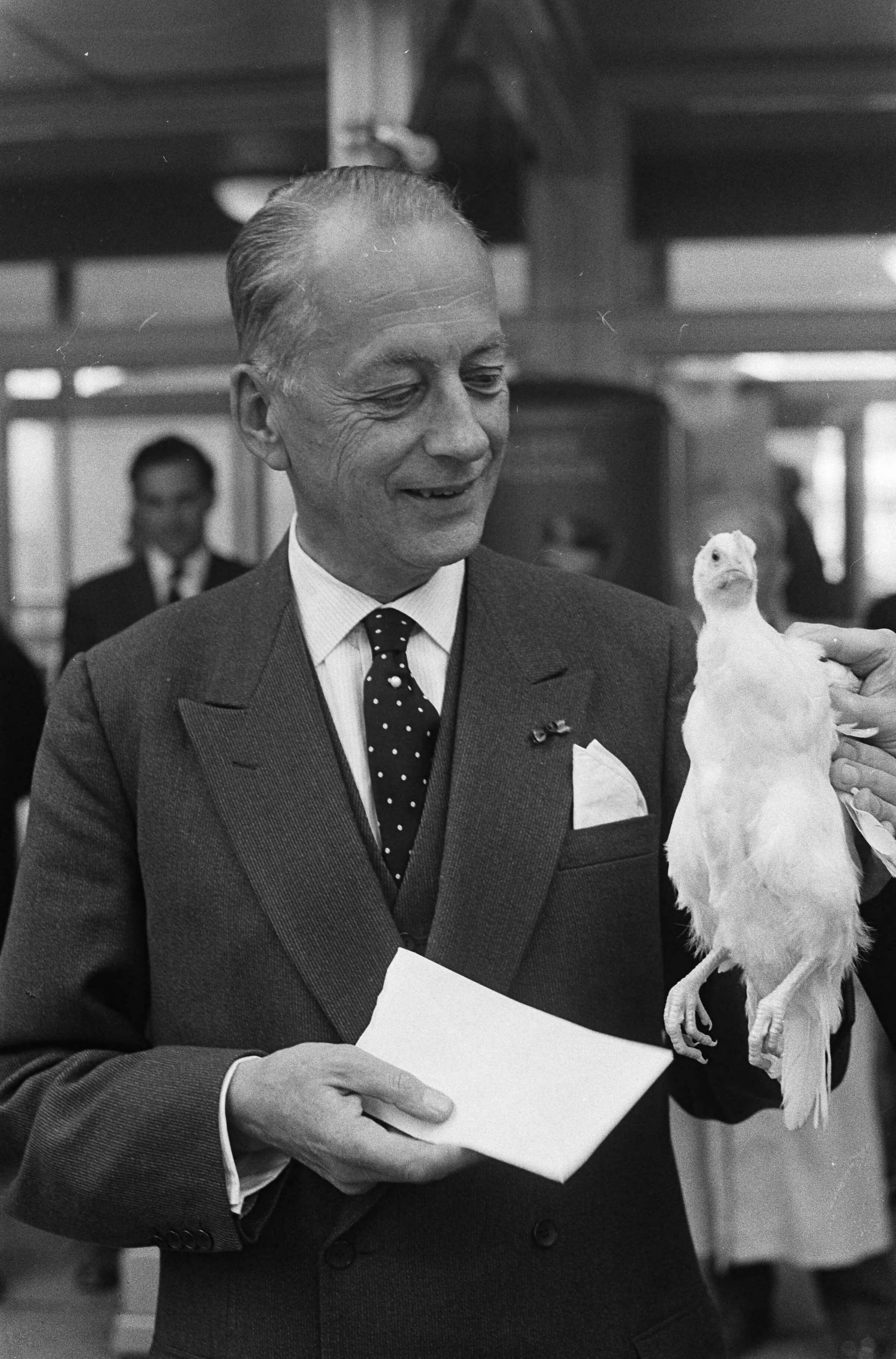 Fotocollectie Anefo — Vereniging Ornithophila bood de Utrechtse burgemeester De Ranitz van Utrecht 250 leghennen aan voor dorp Dousadj (Iran) — Foto: Gelderen, Hugo van / Anefo. Licentie: Set B: Rechtenvrij / Publiek Domein. Bron: Nationaal Archief. http://hdl.handle.net/10648/aa494b5e-d0b4-102d-bcf8-003048976d84