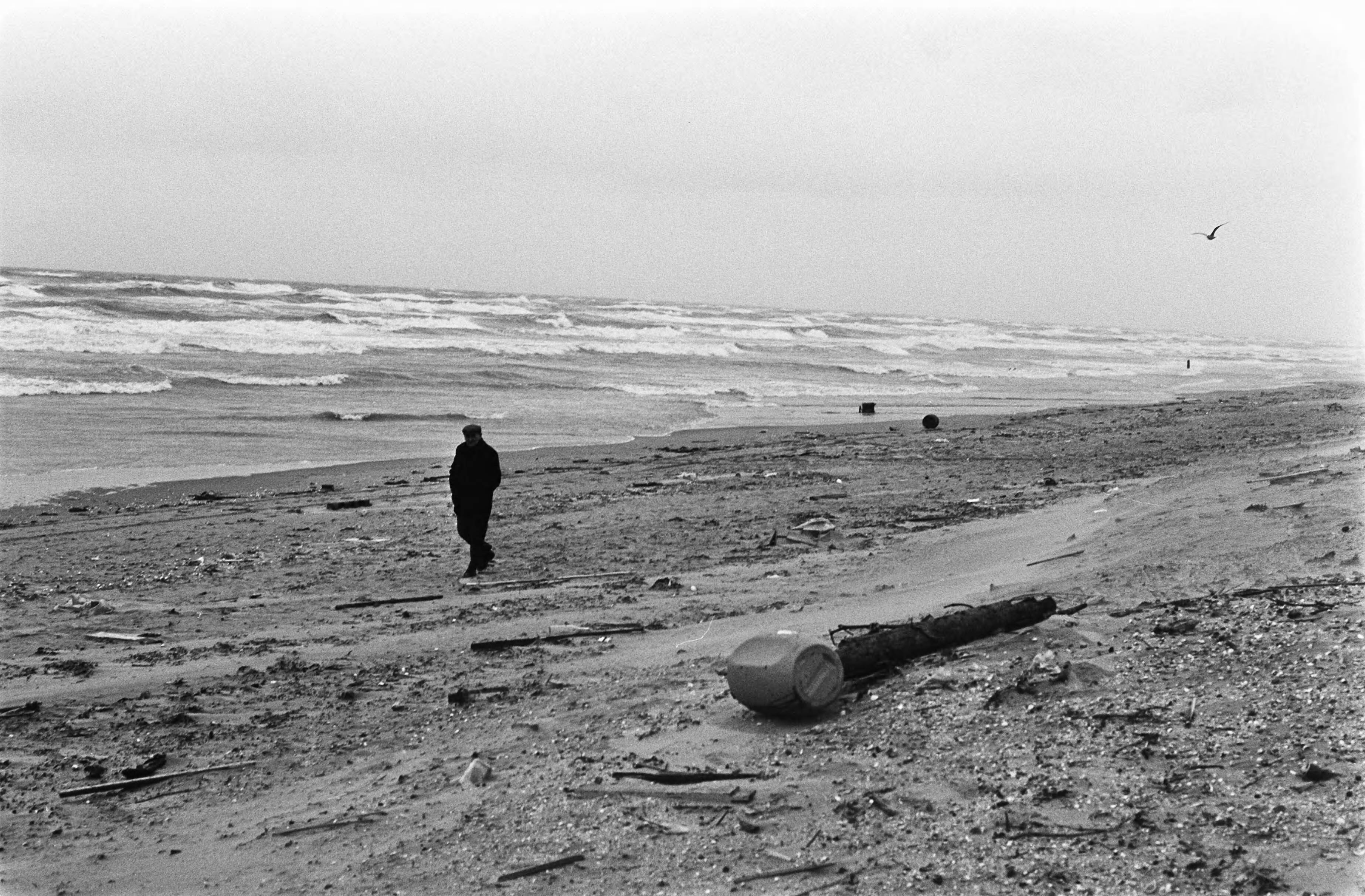 Fotocollectie Anefo — "Centenzoekers" op strand in Zandvoort — Foto: Mieremet, Rob / Anefo. Licentie: Set B: Rechtenvrij / Publiek Domein. Bron: Nationaal Archief. http://hdl.handle.net/10648/ac5cb94e-d0b4-102d-bcf8-003048976d84