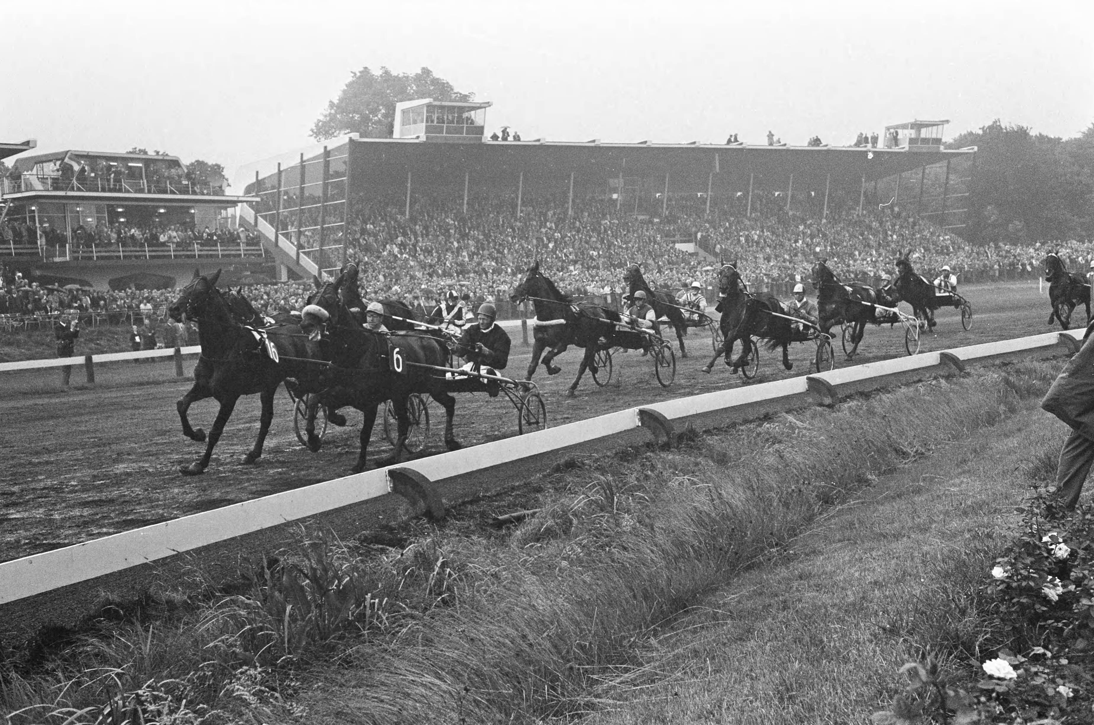 Grote Prijs der Lage Landen — Het grote veld van paarden onderweg, nummer 16 voorop gaat winnen — Foto: Fotograaf Onbekend / Anefo. Licentie: Set B: Rechtenvrij / Publiek Domein. Bron: Nationaal Archief. http://hdl.handle.net/10648/ab1d223a-d0b4-102d-bcf8-003048976d84