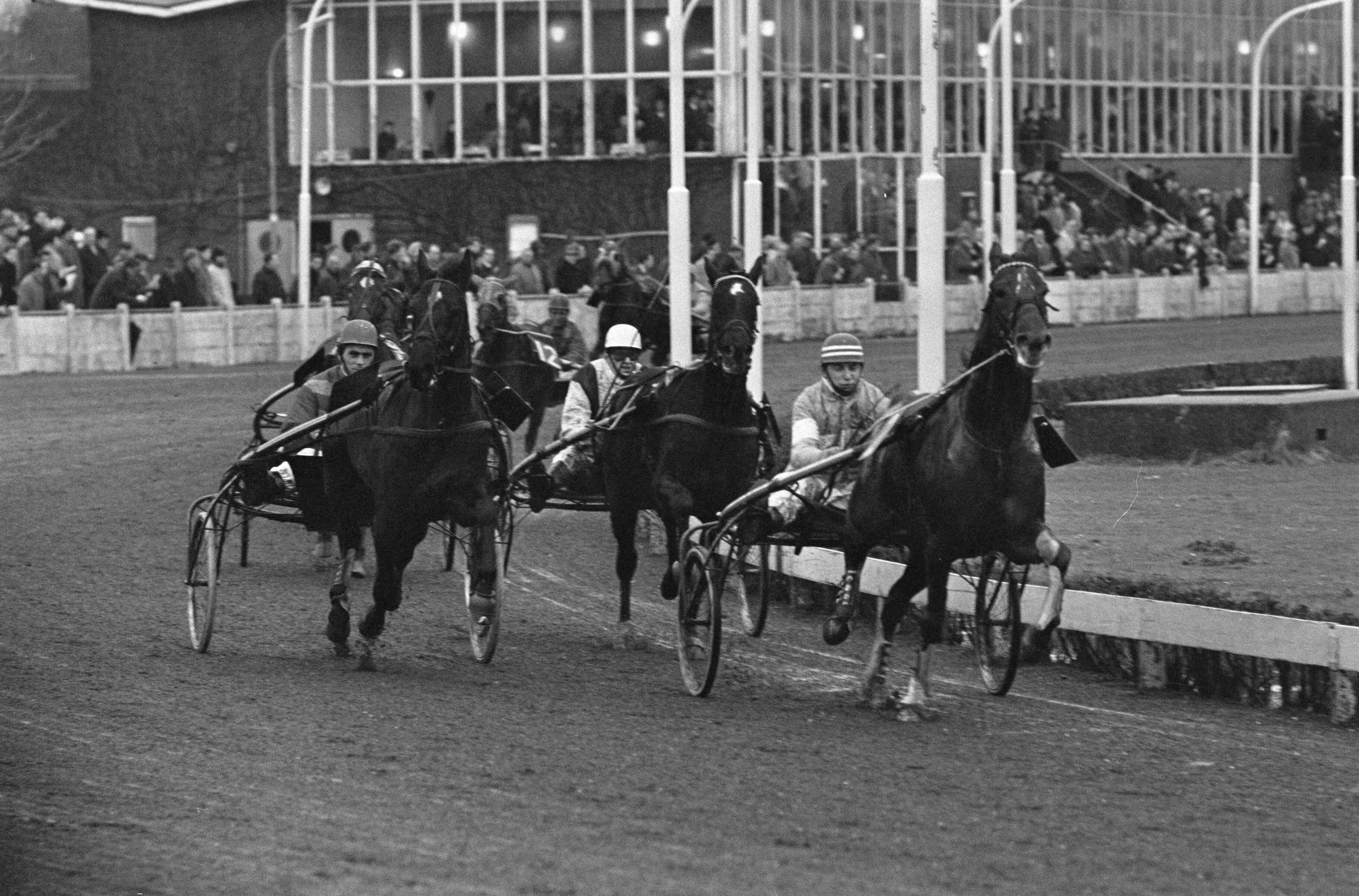Fotocollectie Anefo — Koersen op Hilversum, op kop gaat "Bahamontes", links de winnaar "Donderdag" gereden door J. de Graaf — Foto: Koch, Eric / Anefo. Licentie: Set B: Rechtenvrij / Publiek Domein. Bron: Nationaal Archief. http://hdl.handle.net/10648/aad4b9be-d0b4-102d-bcf8-003048976d84