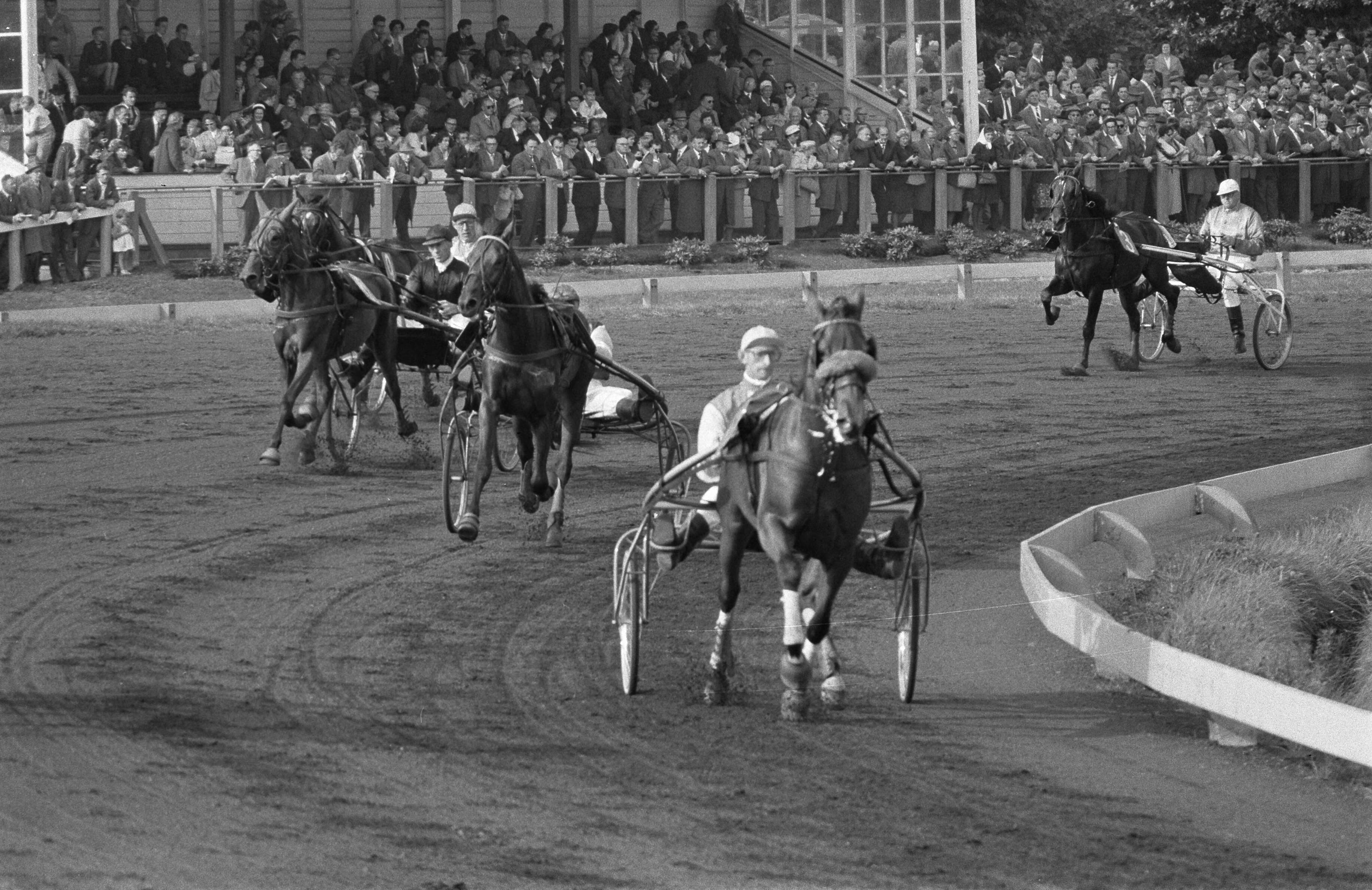 Fotocollectie Anefo — Draverskampioenschap van Nederland op Duindigt — Foto: Rossem, Wim van / Anefo. Licentie: Set B: Rechtenvrij / Publiek Domein. Bron: Nationaal Archief. http://hdl.handle.net/10648/a9ba51ce-d0b4-102d-bcf8-003048976d84