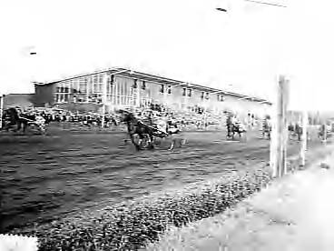 Fotocollectie Anefo — Langebaankampioenschappen draverijen voor Nederlandse paarden te Hilversum — Foto: Behrens, Herbert F. / Anefo. Licentie: Set B: Rechtenvrij / Publiek Domein. Bron: Nationaal Archief. http://hdl.handle.net/10648/a983101a-d0b4-102d-bcf8-003048976d84