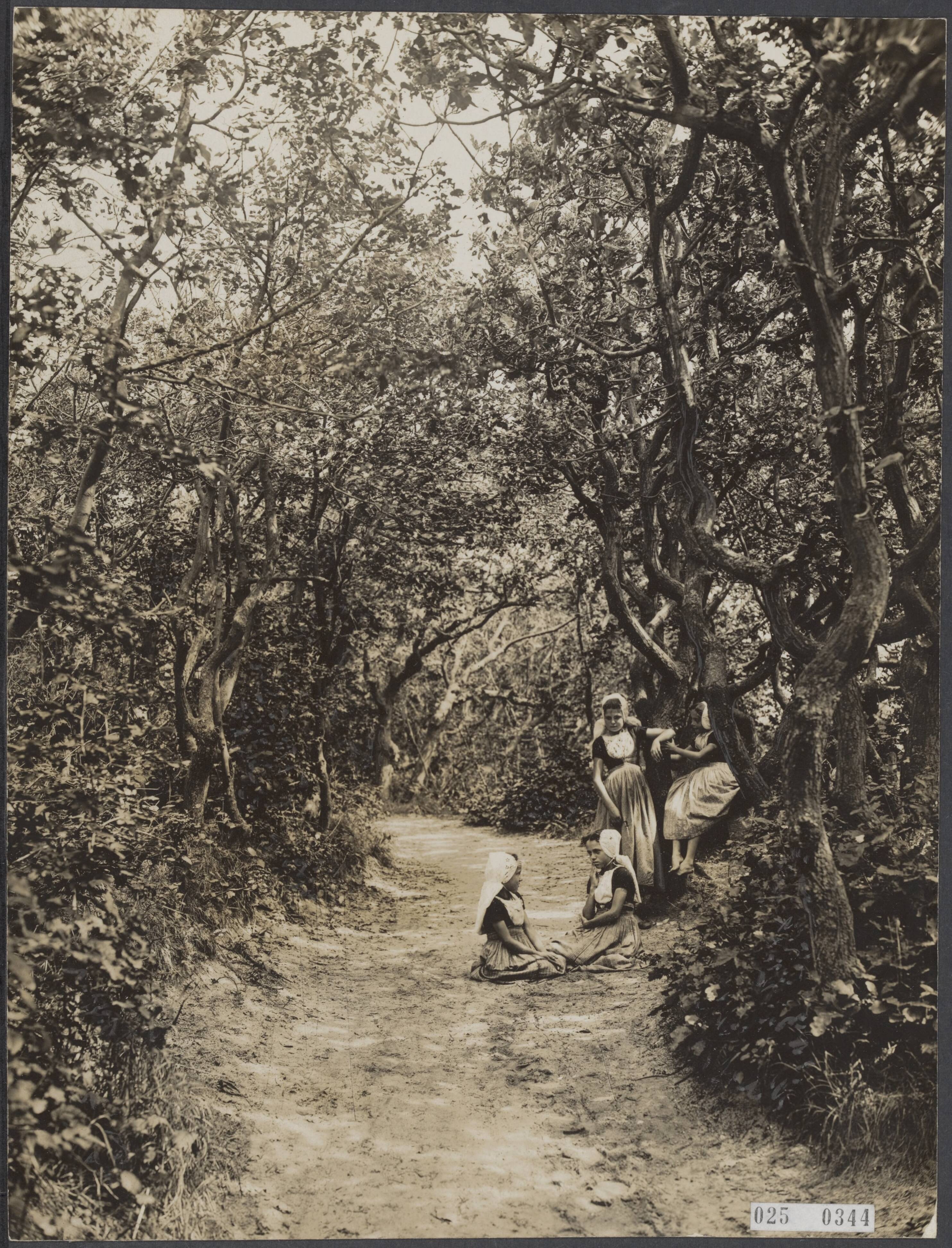Fotocollectie Elsevier Binnenland — Meisje in het kreupelbos van Domburg — Foto: Favier, Adriaan. Licentie: Set B: Rechtenvrij / Publiek Domein. Bron: Nationaal Archief. http://hdl.handle.net/10648/adda437c-d0b4-102d-bcf8-003048976d84