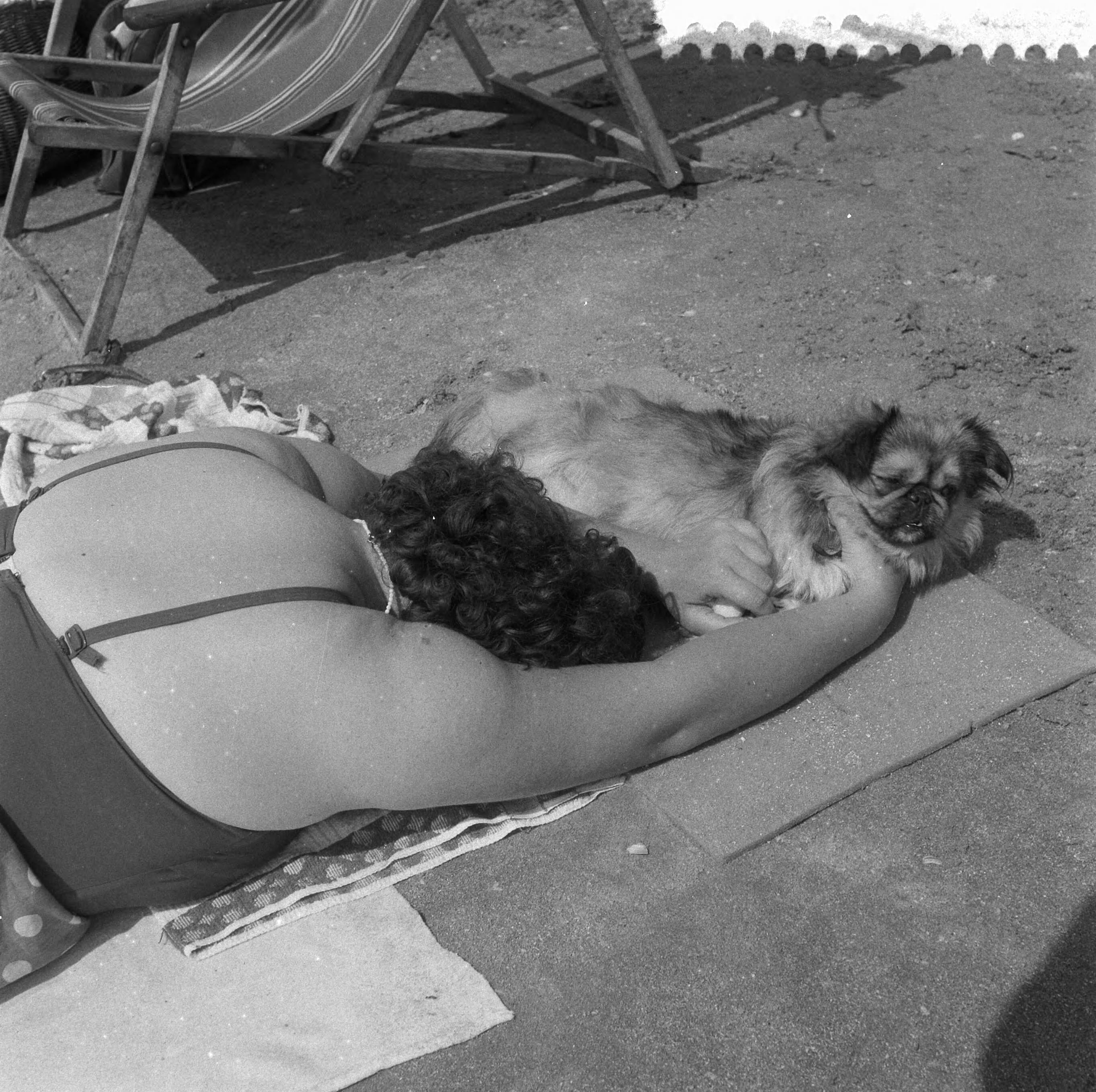 Fotocollectie Anefo — Strandleven te Zandvoort — Foto: Noske, J.D. / Anefo. Licentie: Set B: Rechtenvrij / Publiek Domein. Bron: Nationaal Archief. http://hdl.handle.net/10648/a966691a-d0b4-102d-bcf8-003048976d84