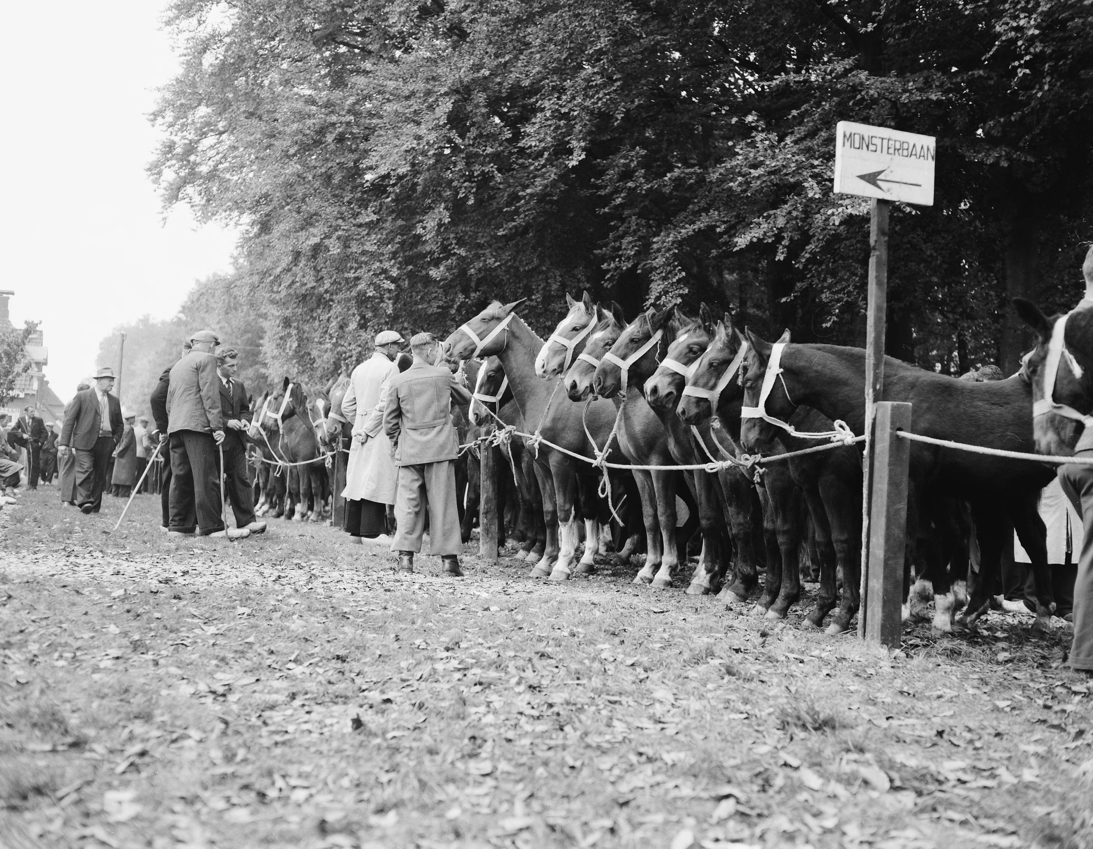 Fotocollectie Anefo — Jaarlijkse paardenmarkt in Zuidlaren — Foto: Rossem, Wim van / Anefo. Licentie: Set B: Rechtenvrij / Publiek Domein. Bron: Nationaal Archief. http://hdl.handle.net/10648/a96c6356-d0b4-102d-bcf8-003048976d84
