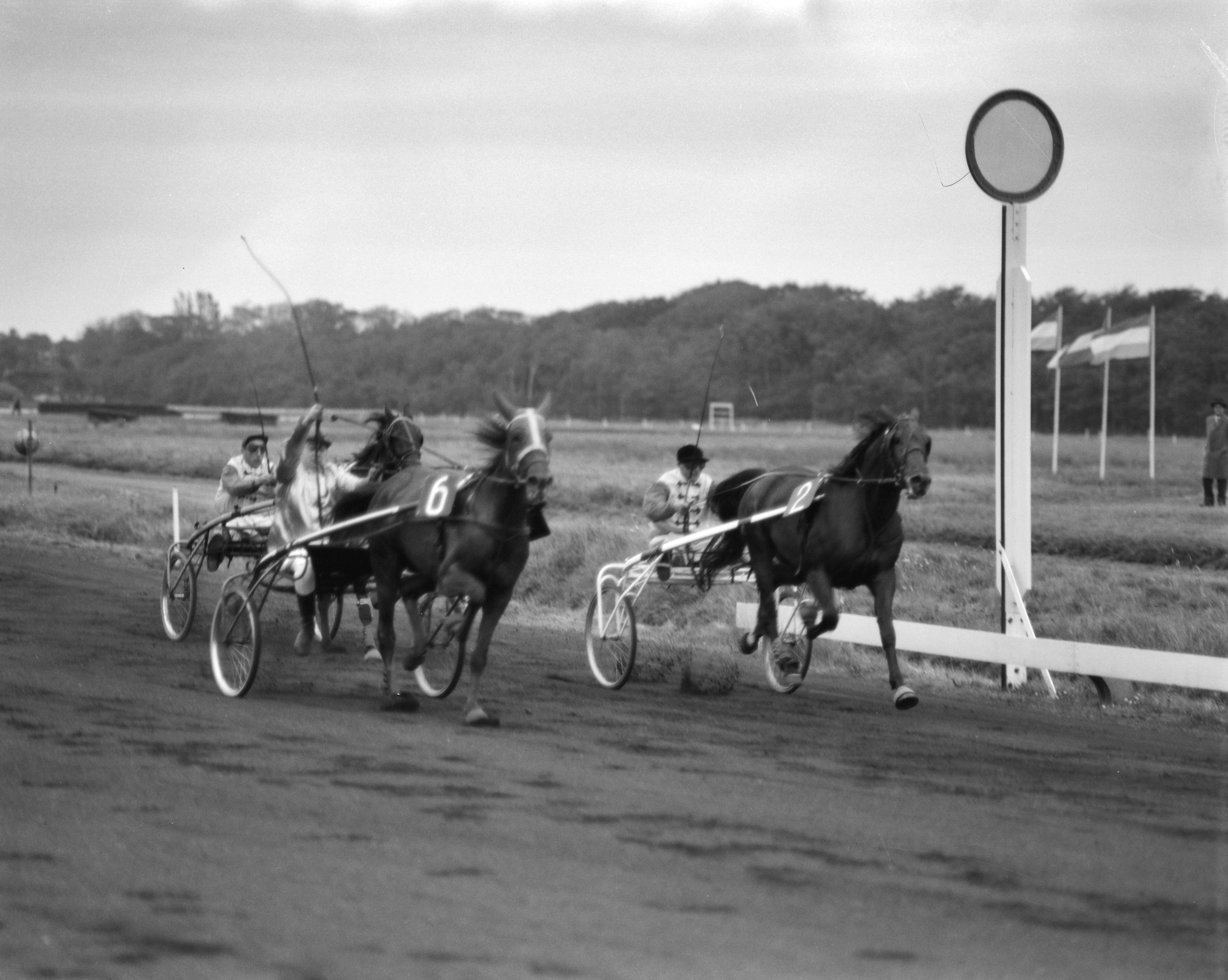 Fotocollectie Anefo — Benelux-prijs (Draverijen te Duindigt) [winnaar F.J. Eerenberg met Zippora? ] — Foto: Bilsen, Joop van / Anefo. Licentie: Set B: Rechtenvrij / Publiek Domein. Bron: Nationaal Archief. http://hdl.handle.net/10648/aa1983a6-d0b4-102d-bcf8-003048976d84