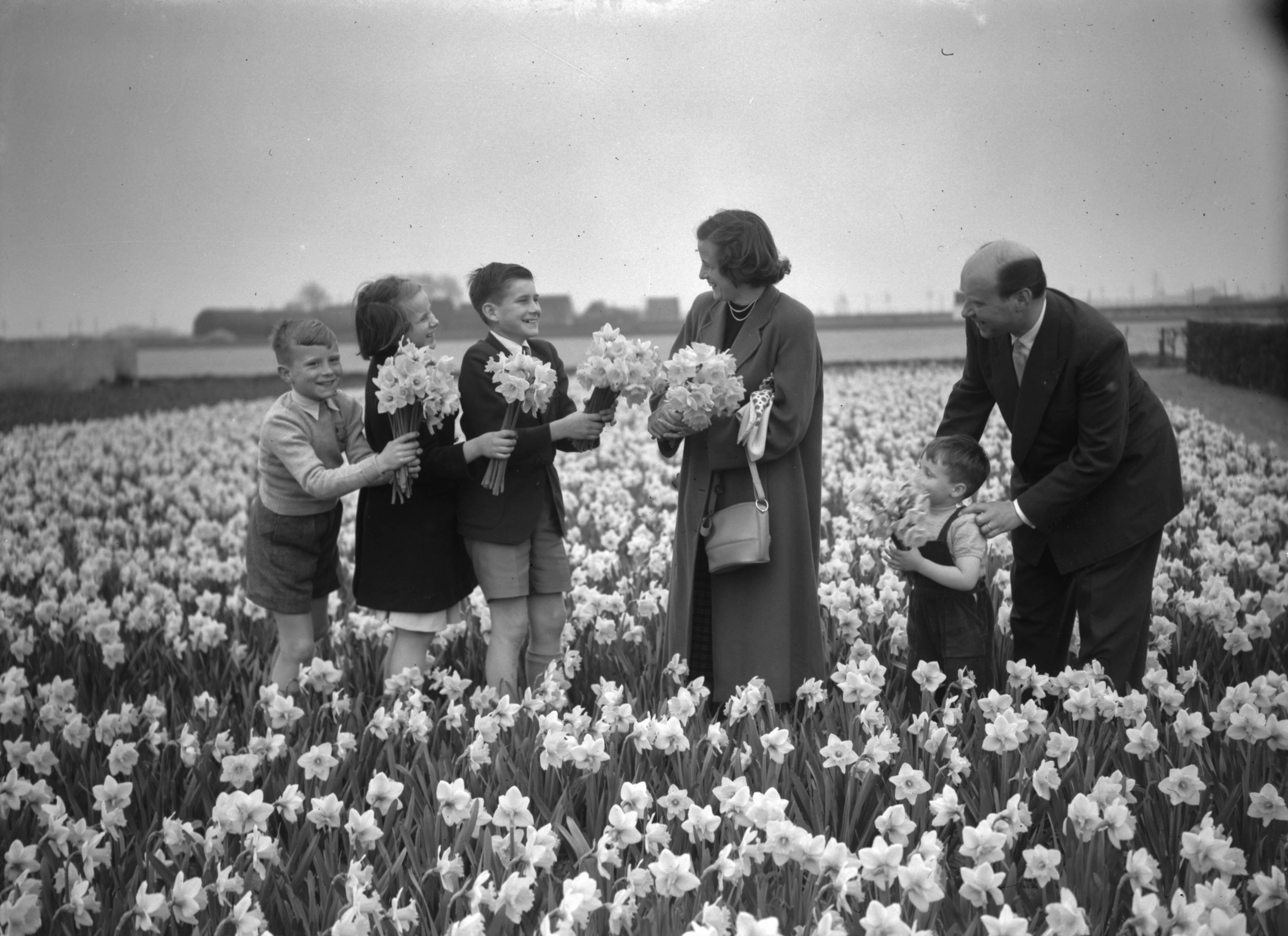 Fotocollectie Anefo — Opnamen familie Smulders Voorburg. Familie poseert in narcissenveld. Kinderen geven bloemen aan moeder — Foto: Bilsen, Joop van / Anefo. Licentie: Set B: Rechtenvrij / Publiek Domein. Bron: Nationaal Archief. http://hdl.handle.net/10648/a90a36e0-d0b4-102d-bcf8-003048976d84