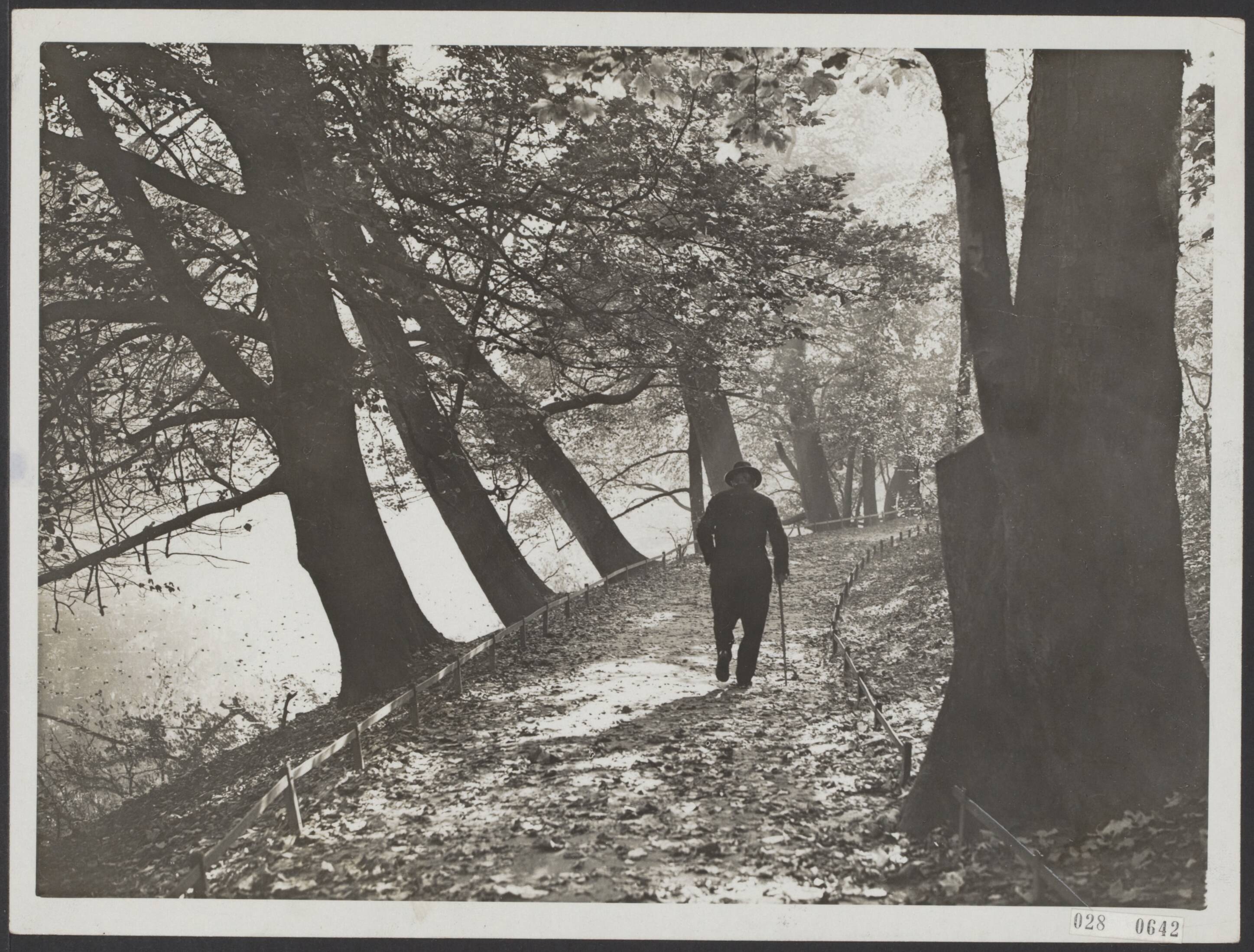 Fotocollectie Elsevier Binnenland — Haarlem. Herfststemming op het Statenbolwerk — Foto: N.V. Polygoon. Licentie: Set B: Rechtenvrij / Publiek Domein. Bron: Nationaal Archief. http://hdl.handle.net/10648/adde66dc-d0b4-102d-bcf8-003048976d84