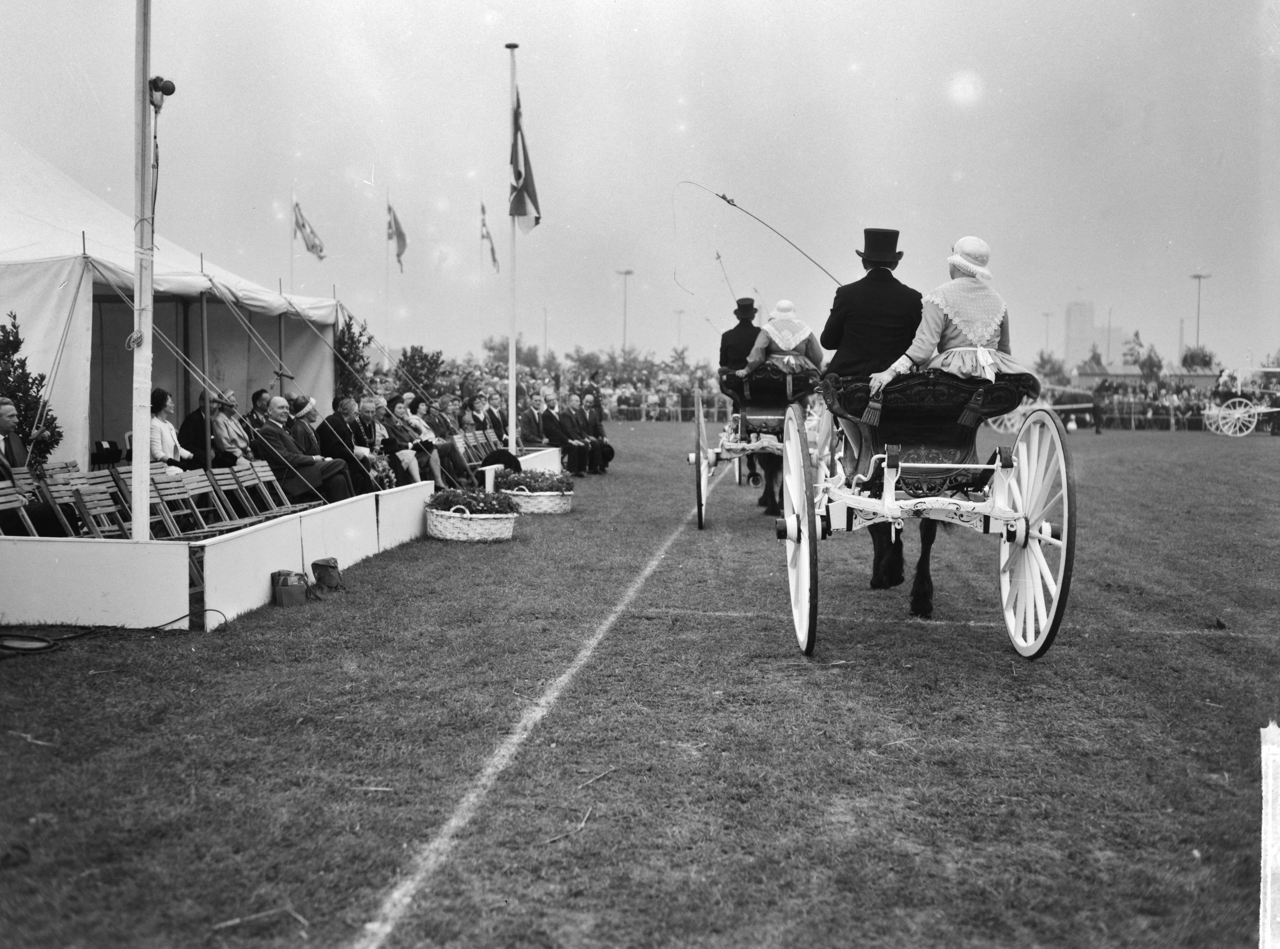 Fotocollectie Anefo — Koningin Juliana bracht een bezoek aan de tentoonstelling "Frisiana" te Leeuwarden. De koningin bracht bezoek aan veld naast de Friesland-Hal waar een demonstratie met Friese sjeezen werd gegeven — Foto: Bilsen, Joop van / Anefo. Licentie: Set B: Rechtenvrij / Publiek Domein. Bron: Nationaal Archief. http://hdl.handle.net/10648/aa45e554-d0b4-102d-bcf8-003048976d84