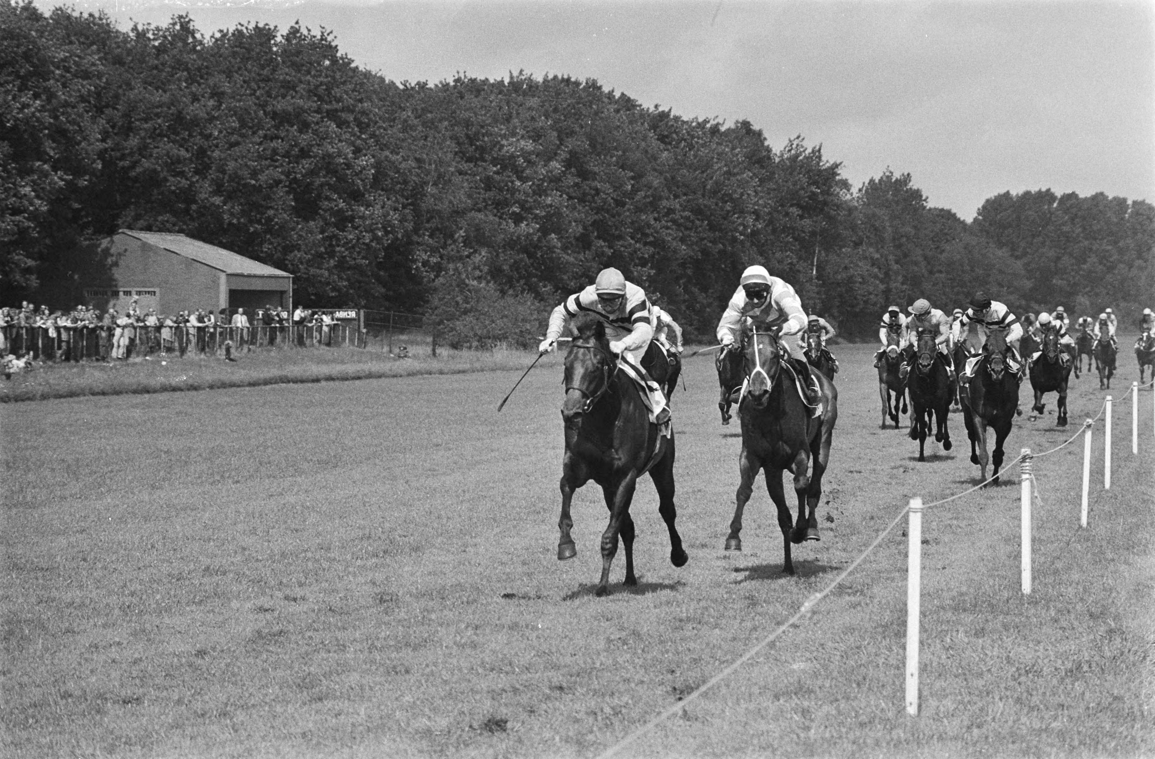 Fotocollectie Anefo — Paardenraces Duindigt 50e derby; finish links winnaar D. Maitland uit GB met het paard Boxberger Cook , rechts A. W. Jones met het paard Kings Eagle — Foto: Suyk, Koen / Anefo. Licentie: Set B: Rechtenvrij / Publiek Domein. Bron: Nationaal Archief. http://hdl.handle.net/10648/acb853e4-d0b4-102d-bcf8-003048976d84