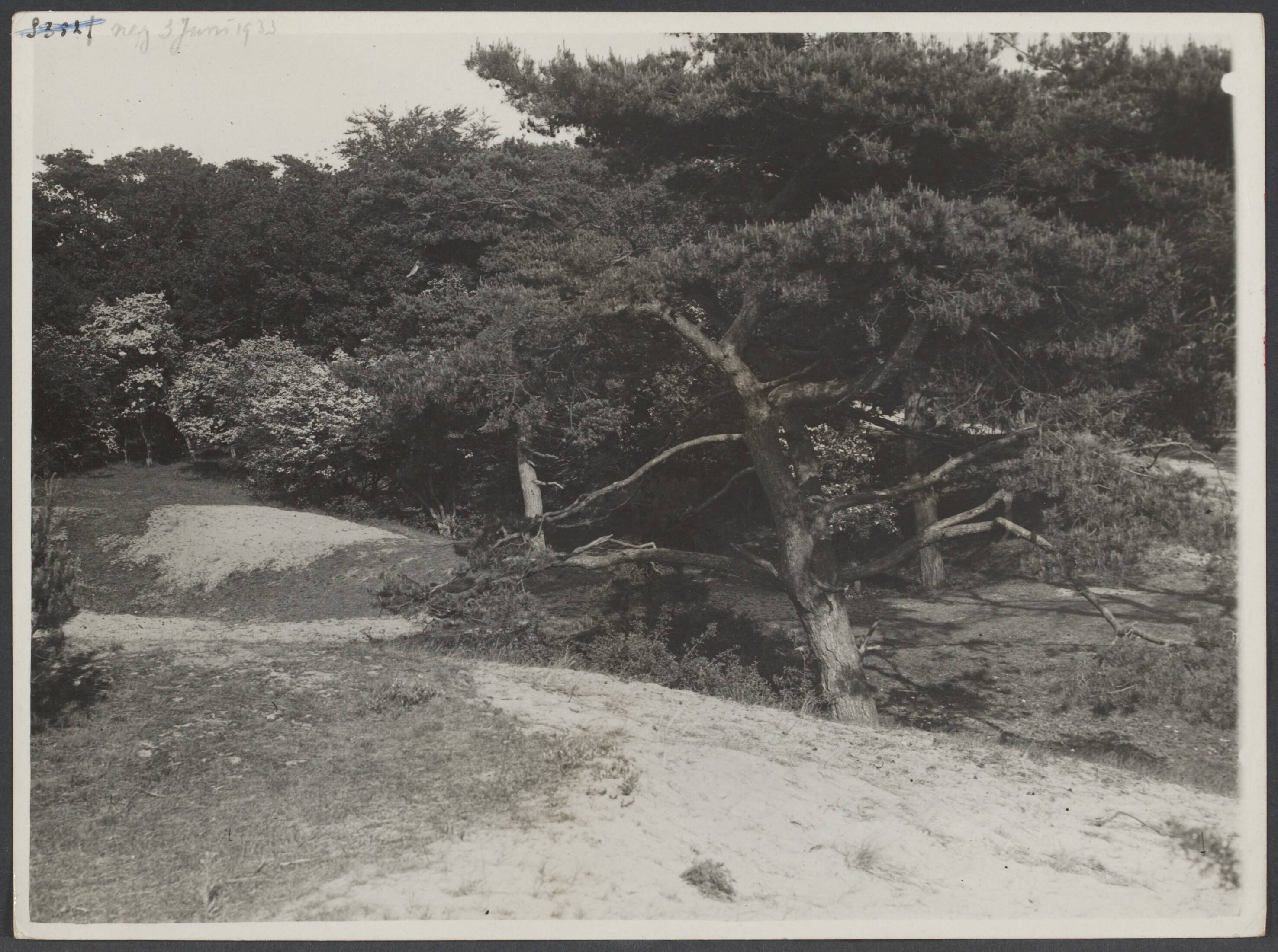 Landschap in Nederland — Duinlandschap (Meijendel - Wassenaar) — Foto: Onbekend / Publiek Domein of Rechtenvrij. Licentie: Set B: Rechtenvrij / Publiek Domein. Bron: Nationaal Archief. http://hdl.handle.net/10648/22a62d66-860c-079b-0e45-797c0026156c