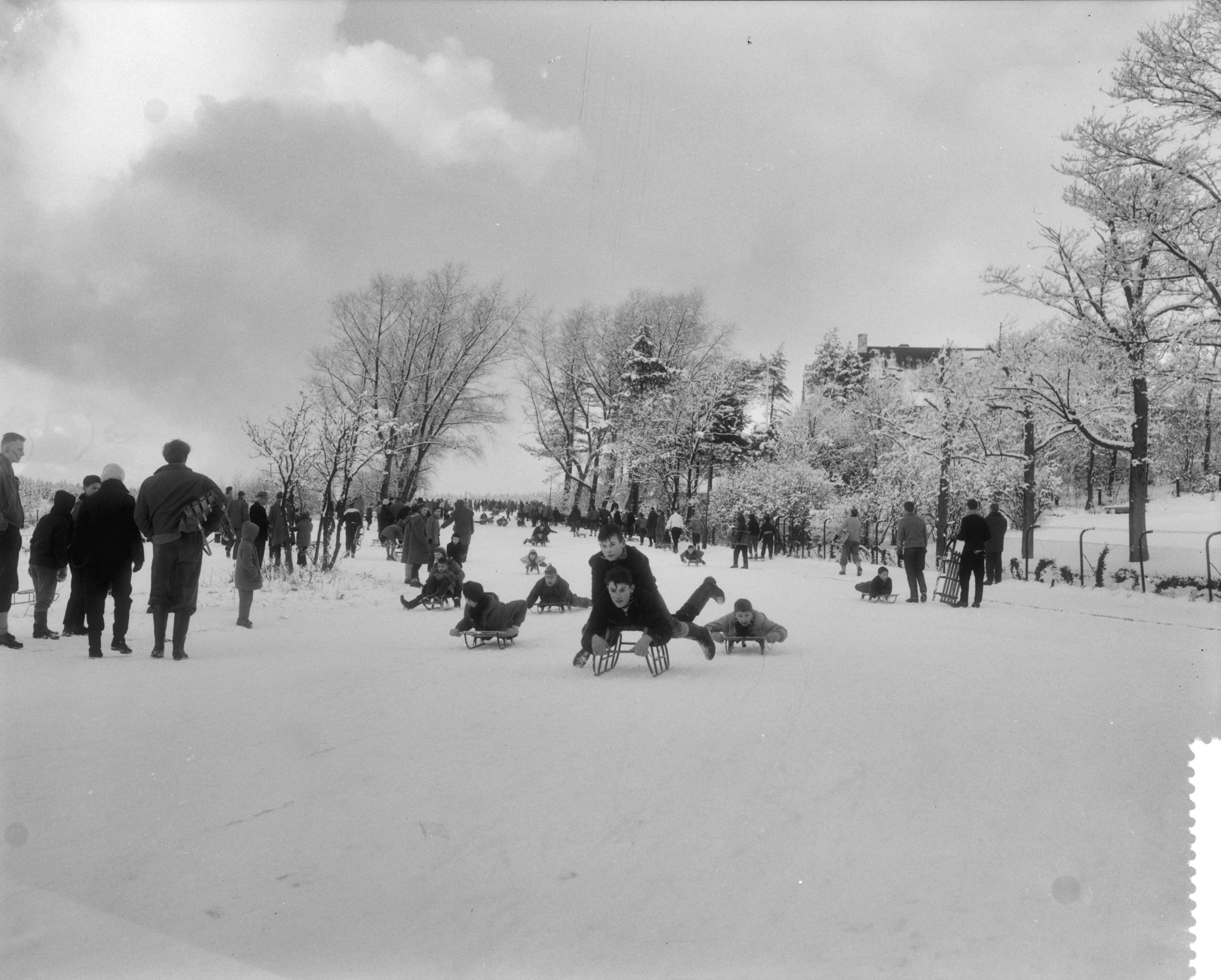 Fotocollectie Anefo — Sleeën op het Bloemendaalse Kopje — Foto: Pot, Harry / Anefo. Licentie: Set B: Rechtenvrij / Publiek Domein. Bron: Nationaal Archief. http://hdl.handle.net/10648/a98bb6ac-d0b4-102d-bcf8-003048976d84