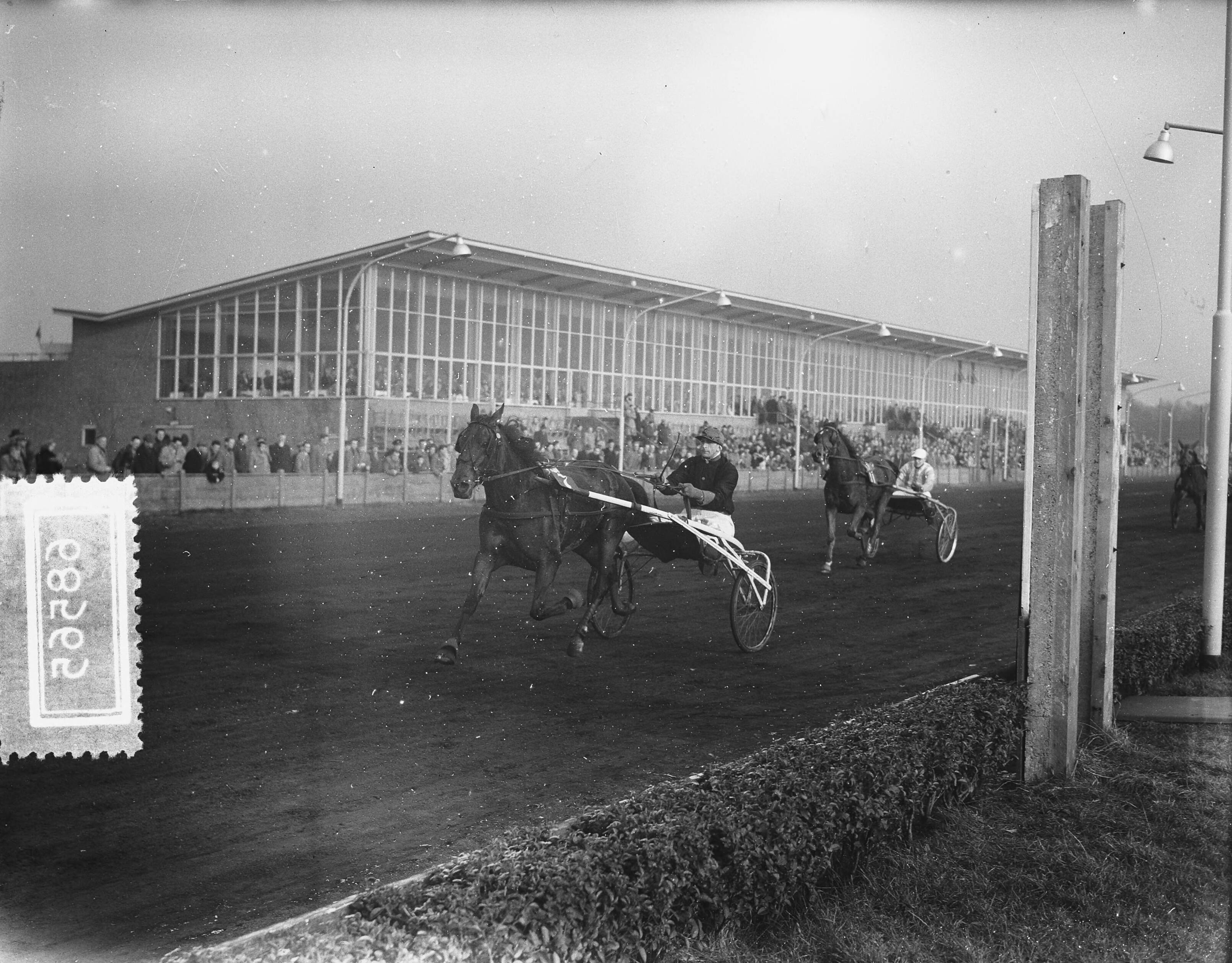 Fotocollectie Anefo — Wintercourses op de renbaan van Hilversum. Tango-prijs gewonnen door Quick Fire I (P.A. Strooper) — Foto: Duinen, H. van / Anefo. Licentie: Set B: Rechtenvrij / Publiek Domein. Bron: Nationaal Archief. http://hdl.handle.net/10648/a92d637c-d0b4-102d-bcf8-003048976d84