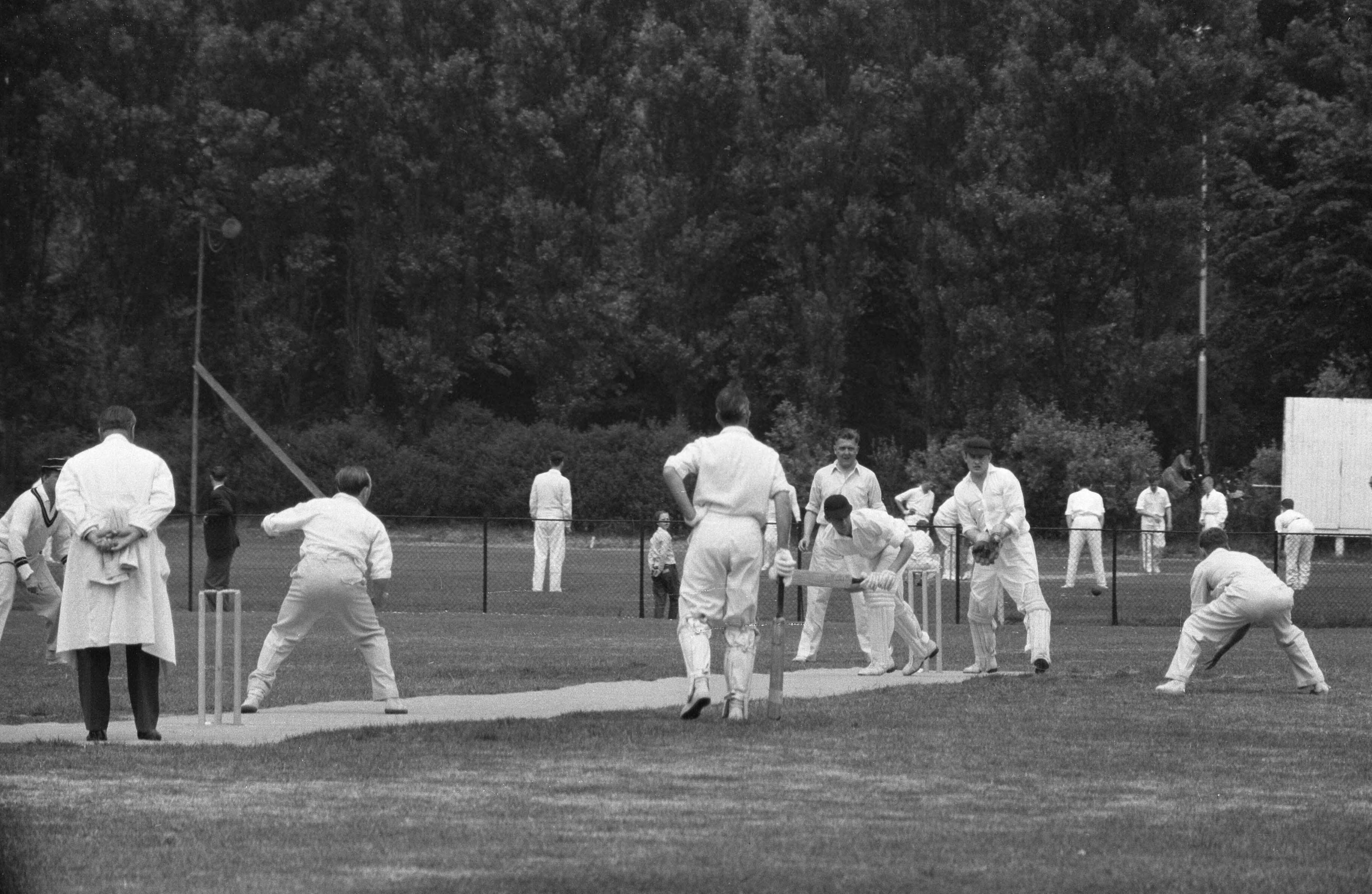 Fotocollectie Anefo — Cricket. HCC tegen Rood en Wit te Den Haag — Foto: Bilsen, Joop van / Anefo. Licentie: Set B: Rechtenvrij / Publiek Domein. Bron: Nationaal Archief. http://hdl.handle.net/10648/a996df5a-d0b4-102d-bcf8-003048976d84