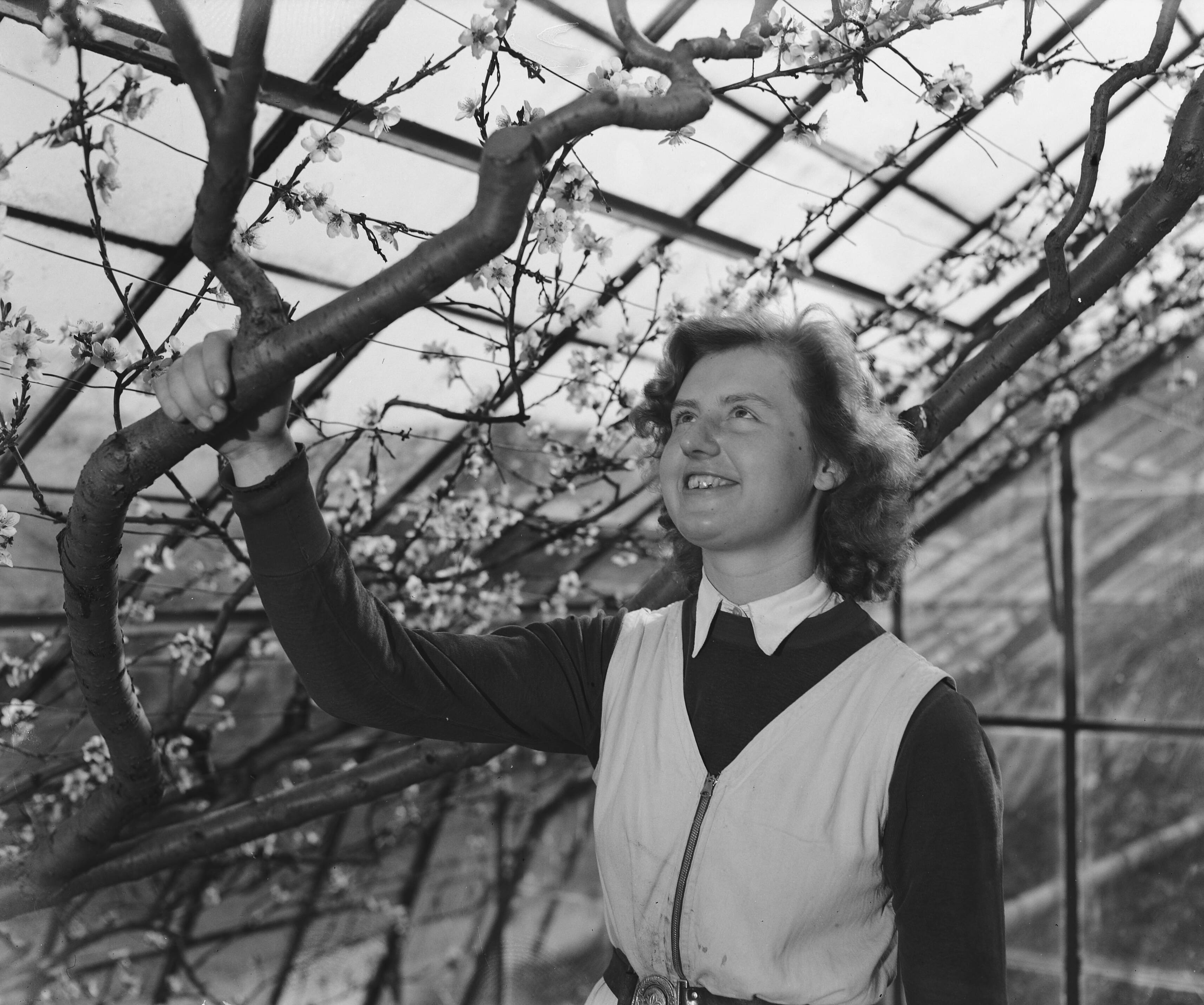 Fotocollectie Anefo — Tuinbouwschool "Huize te Lande" te Rijswijk — Foto: Raucamp, Koos / Anefo. Licentie: Set B: Rechtenvrij / Publiek Domein. Bron: Nationaal Archief. http://hdl.handle.net/10648/a89b4d2a-d0b4-102d-bcf8-003048976d84