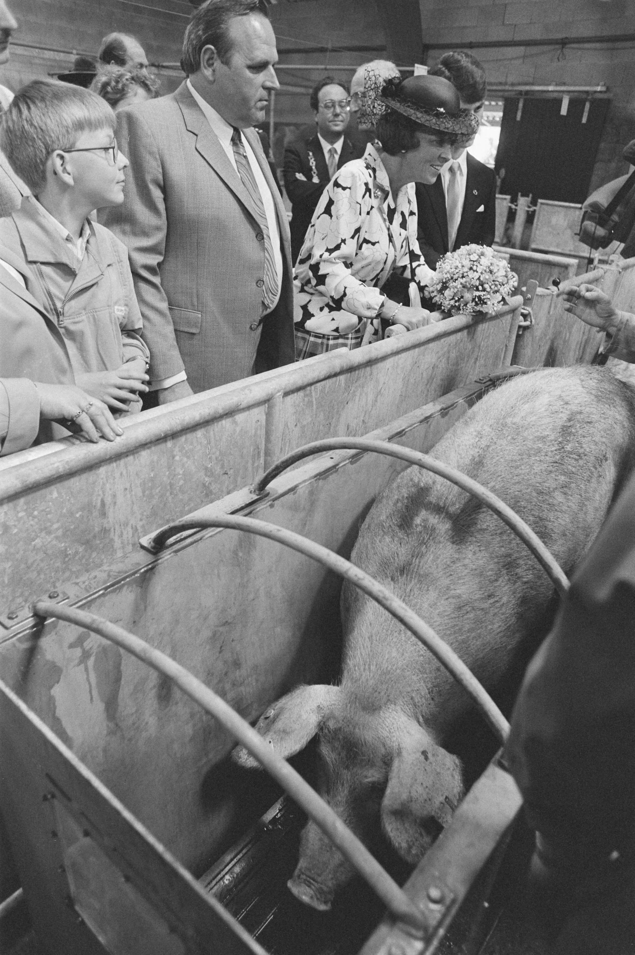 Fotocollectie Anefo — Koningin Beatrix tijdens bezoek aan Zuid Oost Utrecht ; Koningin Beatrix bij varkens op de boerderij — Foto: Bogaerts, Rob / Anefo. Licentie: Set B: Rechtenvrij / Publiek Domein. Bron: Nationaal Archief. http://hdl.handle.net/10648/ad54a44c-d0b4-102d-bcf8-003048976d84
