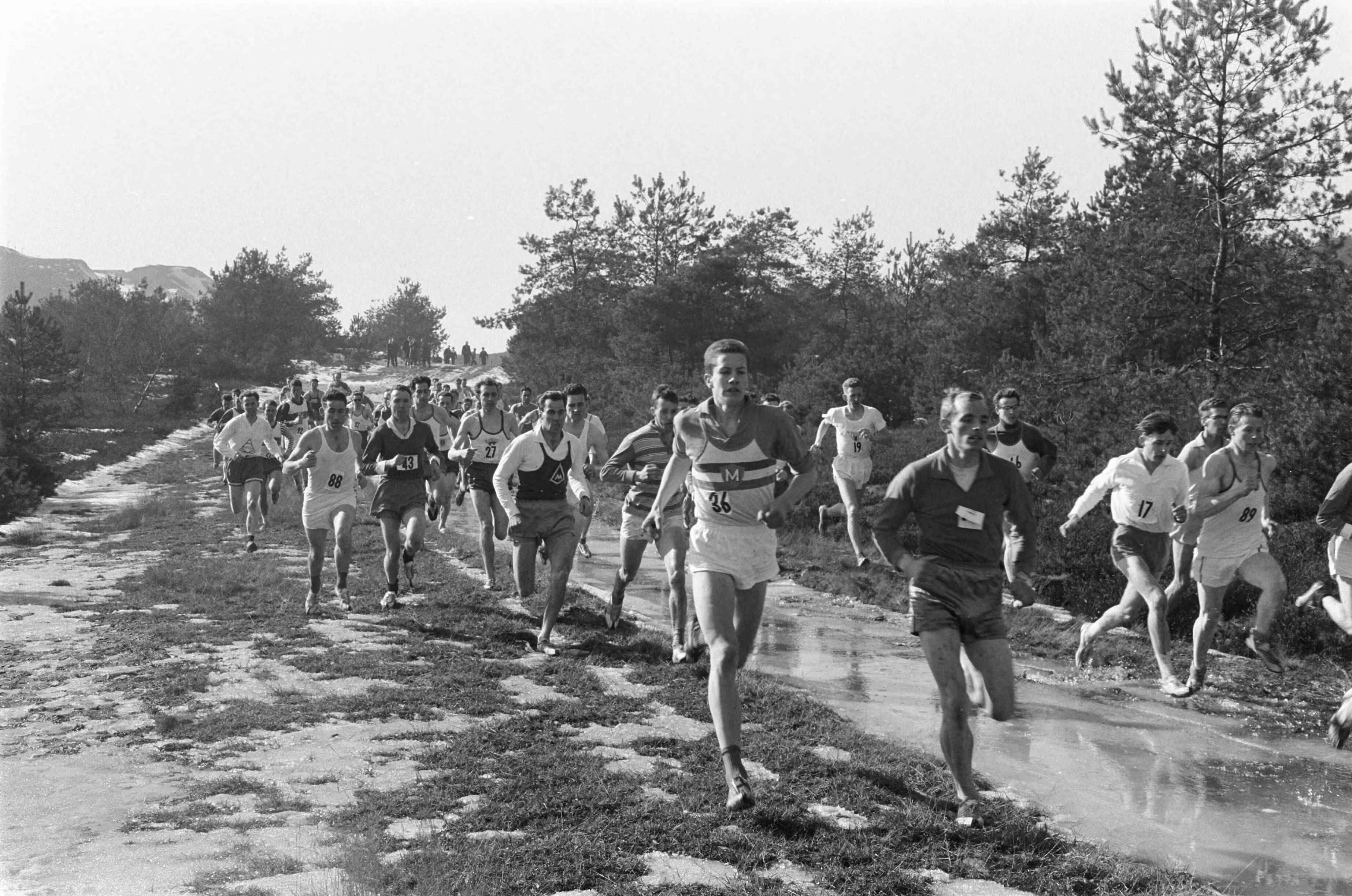 Fotocollectie Anefo — Veldloopkampioenschappen op de Heksenberg bij Heerlen. Overzicht — Foto: Pot, Harry / Anefo. Licentie: Set B: Rechtenvrij / Publiek Domein. Bron: Nationaal Archief. http://hdl.handle.net/10648/aa2c1ffc-d0b4-102d-bcf8-003048976d84