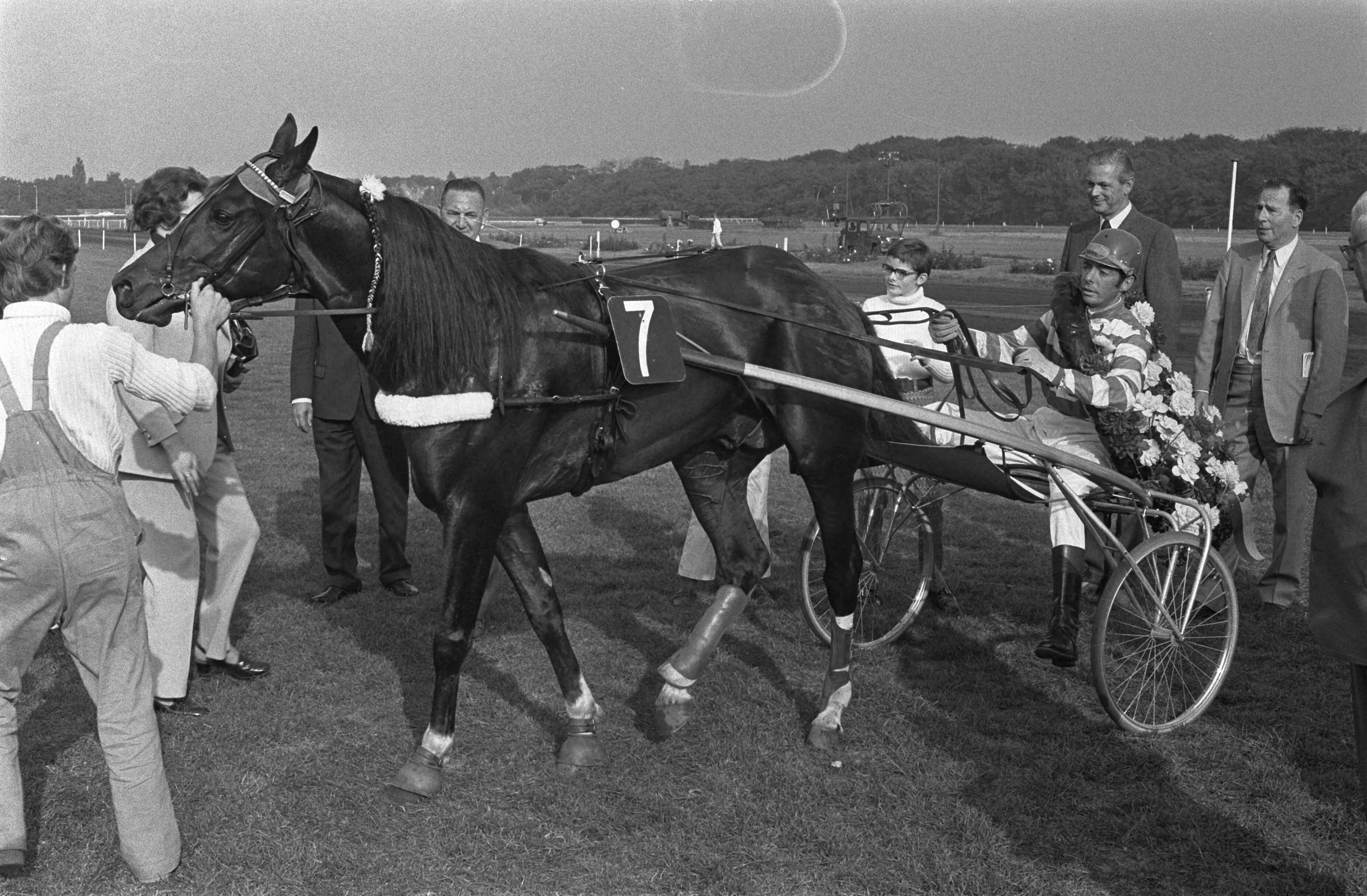 Fotocollectie Anefo — Kampioenschap dravers van Nederland op Duindigt — Foto: Verhoeff, Bert / Anefo. Licentie: Set B: Rechtenvrij / Publiek Domein. Bron: Nationaal Archief. http://hdl.handle.net/10648/abcf5df6-d0b4-102d-bcf8-003048976d84