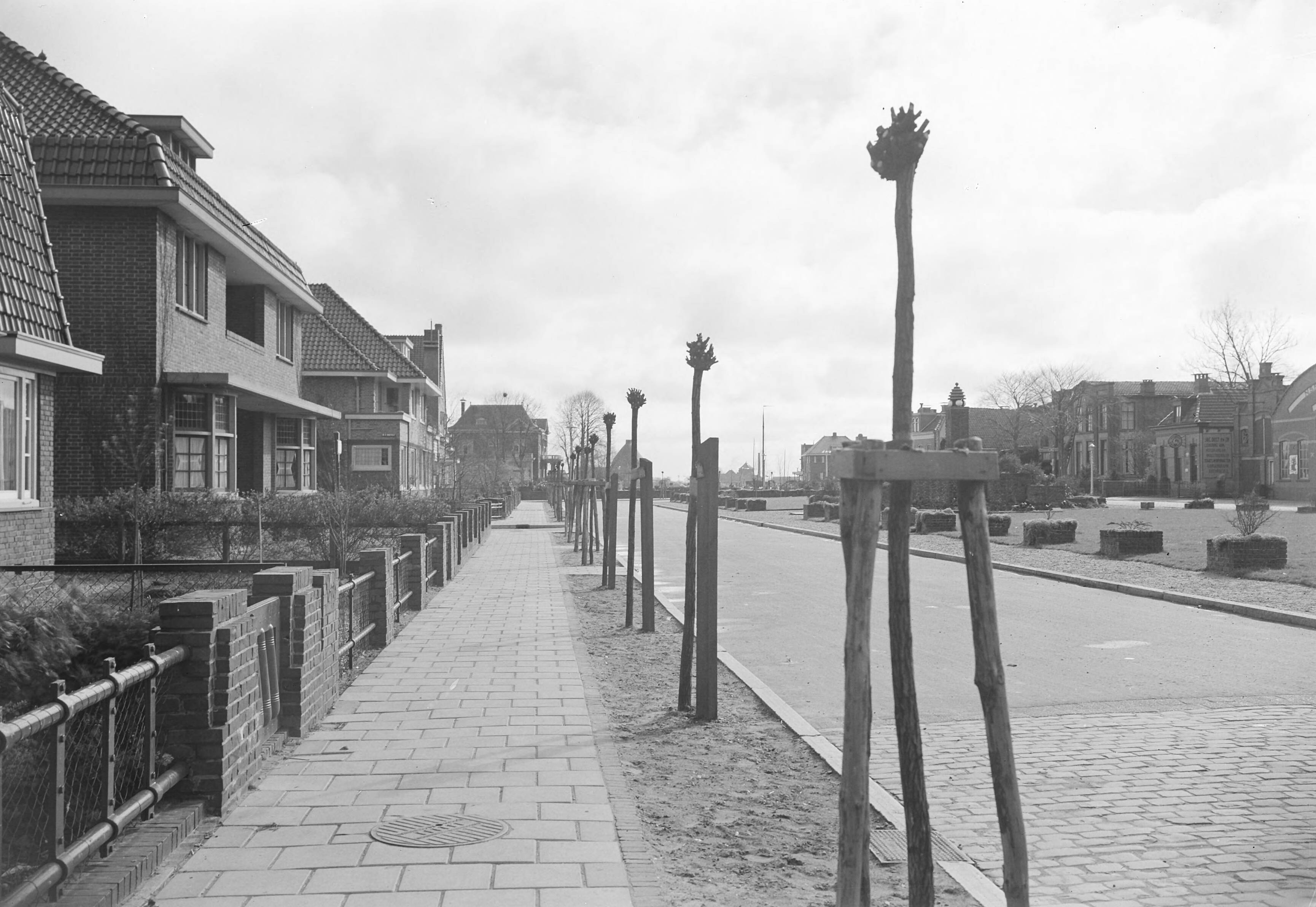 Fotocollectie Nederlandse Heidemaatschappij — Beplanting van bolacacia's villawijk Winchoten [Burgemeester Schonfeldplein] — Foto: Fotograaf Onbekend / Heidemij. Licentie: Set B: Rechtenvrij / Publiek Domein. Bron: Nationaal Archief. http://hdl.handle.net/10648/ae7cf2c0-d0b4-102d-bcf8-003048976d84