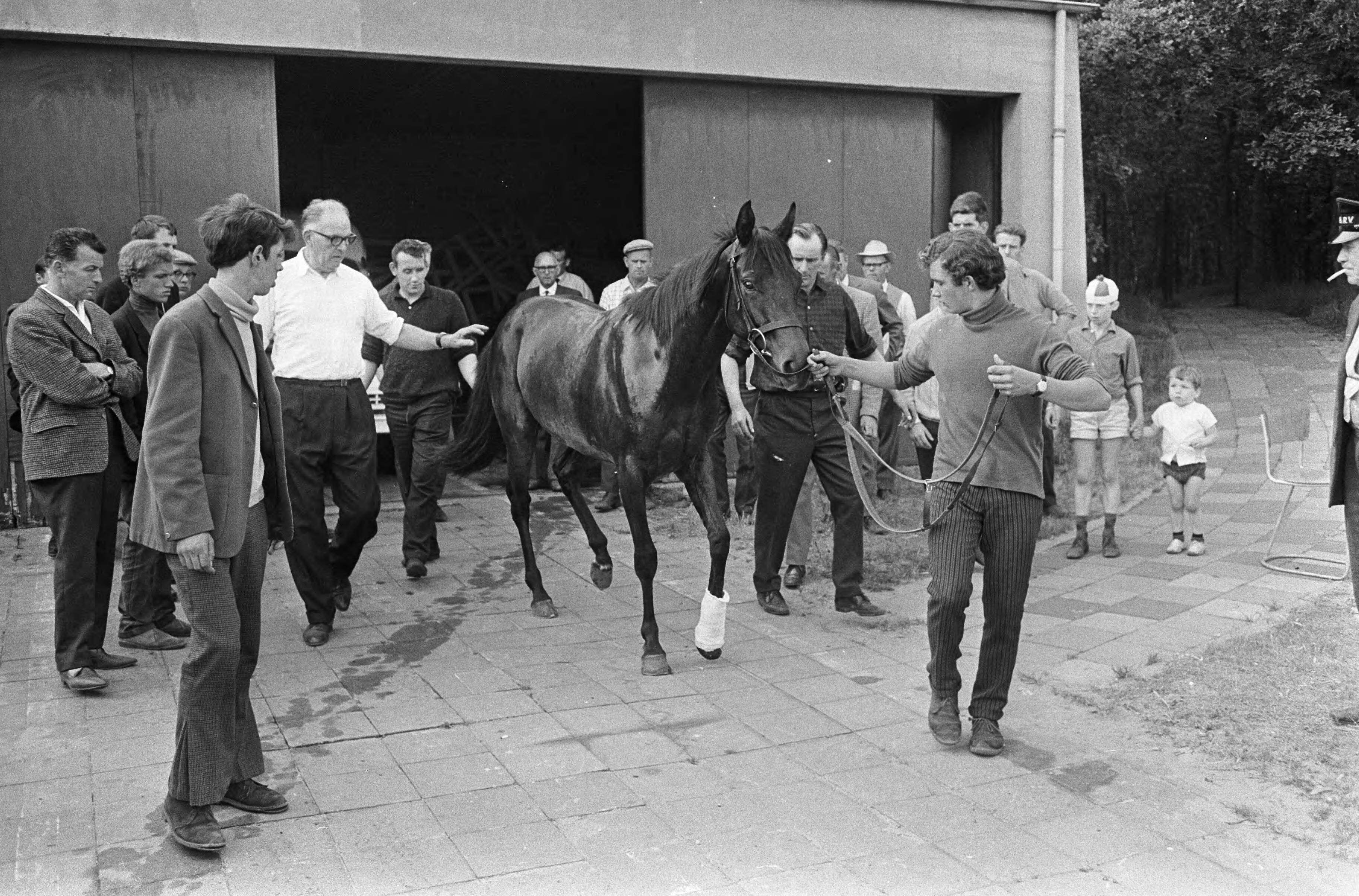 Fotocollectie Anefo — Renboxen op Duidigt voor eerst in gebruik, paard brak been op Duindigt — Foto: Koch, Eric / Anefo. Licentie: Set B: Rechtenvrij / Publiek Domein. Bron: Nationaal Archief. http://hdl.handle.net/10648/aaedeb96-d0b4-102d-bcf8-003048976d84