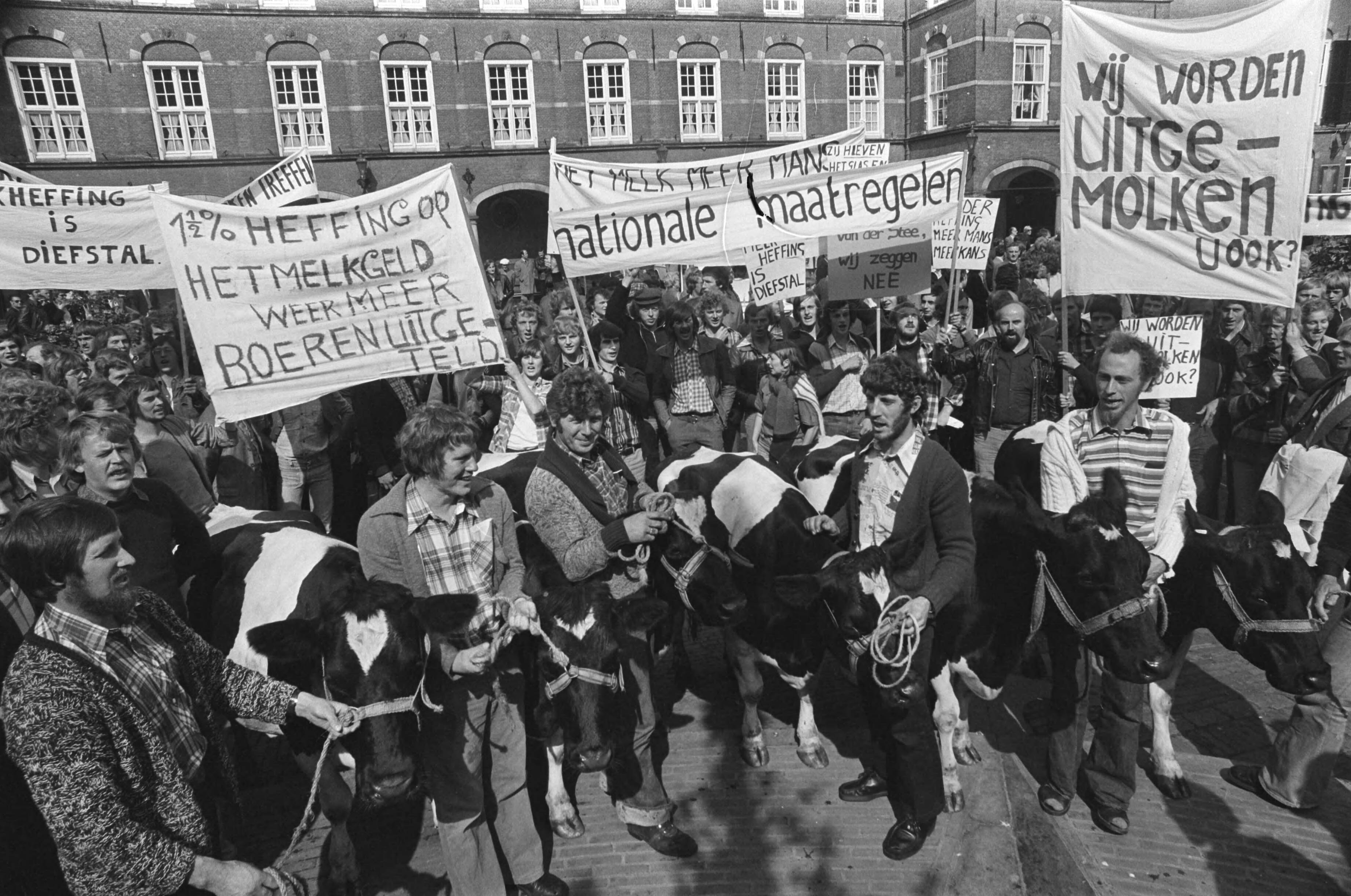 Fotocollectie Anefo — Boeren demonstreren tegen melkheffing op Binnenhof in Den Haag — Foto: Suyk, Koen / Anefo. Licentie: Set B: Rechtenvrij / Publiek Domein. Bron: Nationaal Archief. http://hdl.handle.net/10648/aca2ad50-d0b4-102d-bcf8-003048976d84