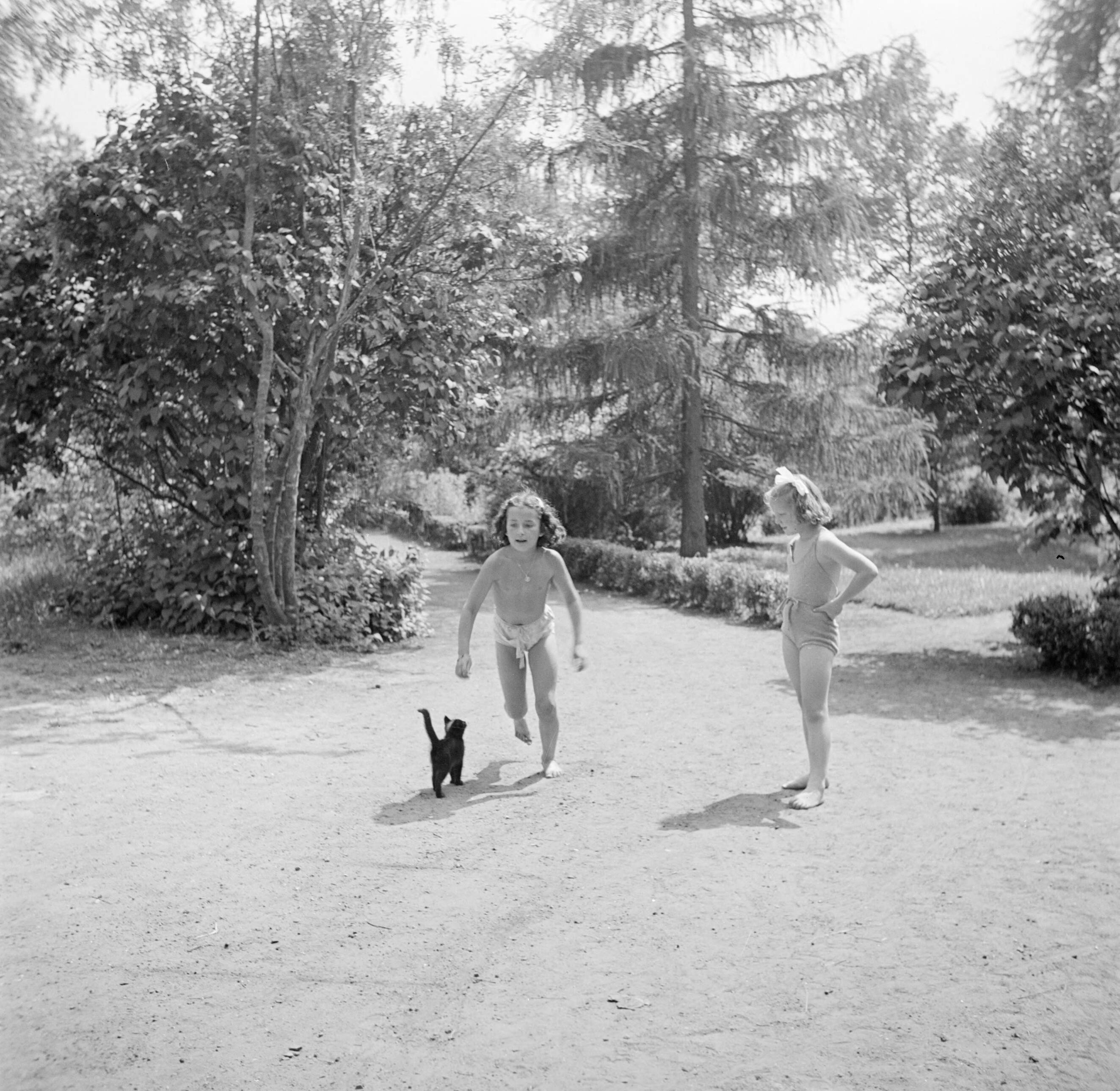 Prinses Beatrix en prinses Irene op de Werkplaats Kindergemeenschap van Kees Boeke te Bilthoven — Prinses Irene met een klasgenote en een kat in de tuin — Foto: Poll, Willem van de. Licentie: Set B: Rechtenvrij / Publiek Domein. Bron: Nationaal Archief. http://hdl.handle.net/10648/aee810c8-d0b4-102d-bcf8-003048976d84