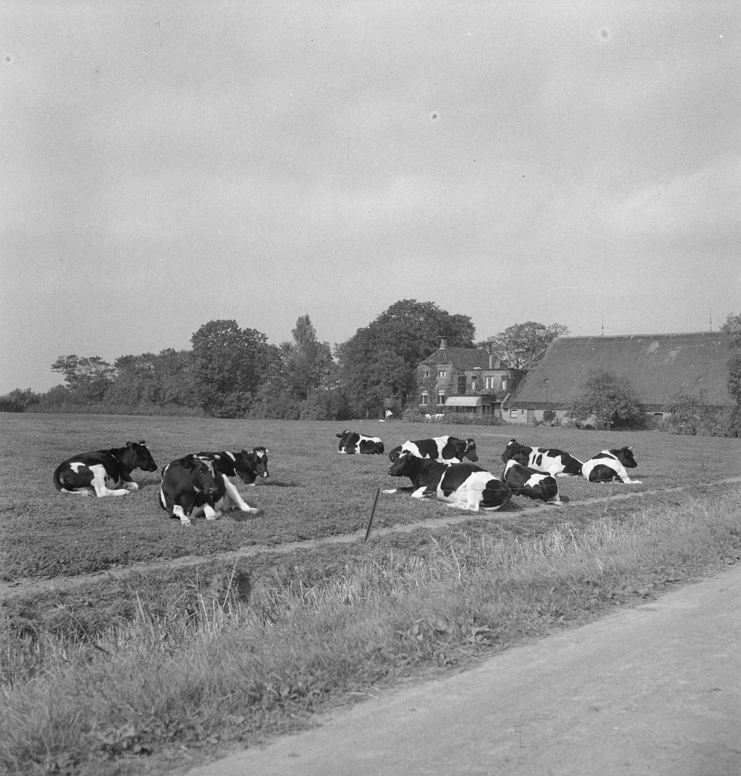 Fotocollectie Nederlandse Heidemaatschappij — Boerderij Glas - Loppersum — Foto: Tromp, [...] / Heidemij. Licentie: Set B: Rechtenvrij / Publiek Domein. Bron: Nationaal Archief. http://hdl.handle.net/10648/ae7d1250-d0b4-102d-bcf8-003048976d84