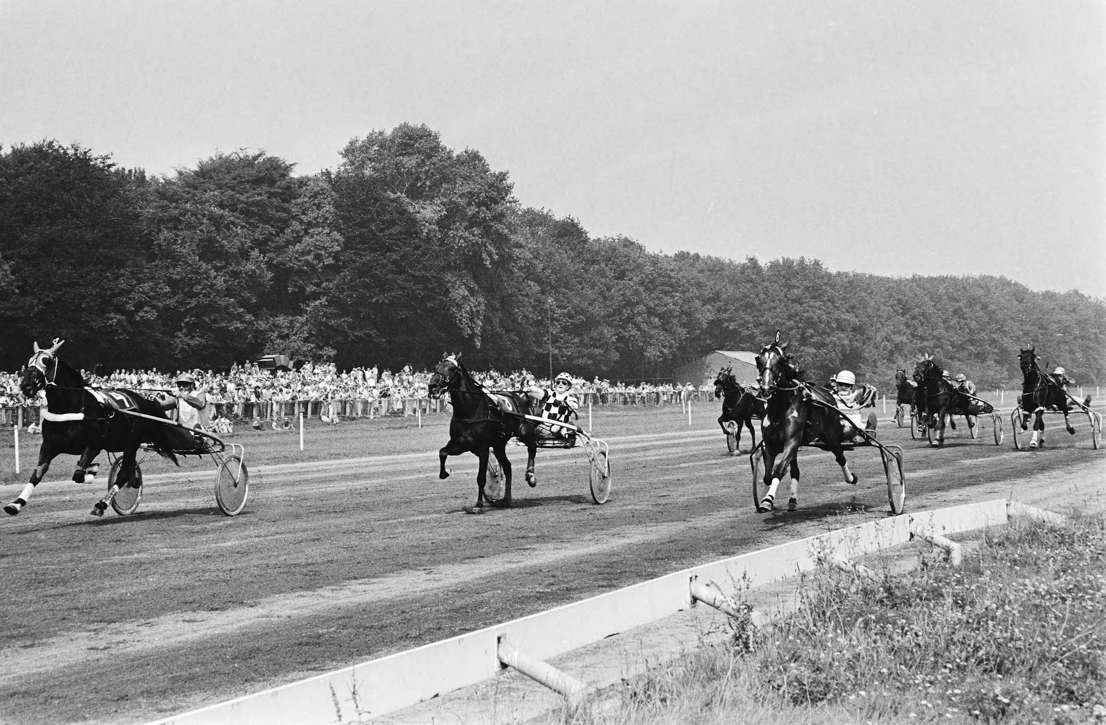 Derby T op Duindigt — Winnaar Jan Wagenaar met Tony Vitesse (links), rechts Konijnenburg met Tempo Rara die derde werd — Foto: Dijk, Hans van / Anefo. Licentie: Set B: Rechtenvrij / Publiek Domein. Bron: Nationaal Archief. http://hdl.handle.net/10648/ace4eac6-d0b4-102d-bcf8-003048976d84