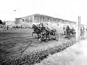 Fotocollectie Anefo — Langebaankampioenschappen draverijen voor Nederlandse paarden te Hilversum — Foto: Behrens, Herbert F. / Anefo. Licentie: Set B: Rechtenvrij / Publiek Domein. Bron: Nationaal Archief. http://hdl.handle.net/10648/a983124a-d0b4-102d-bcf8-003048976d84
