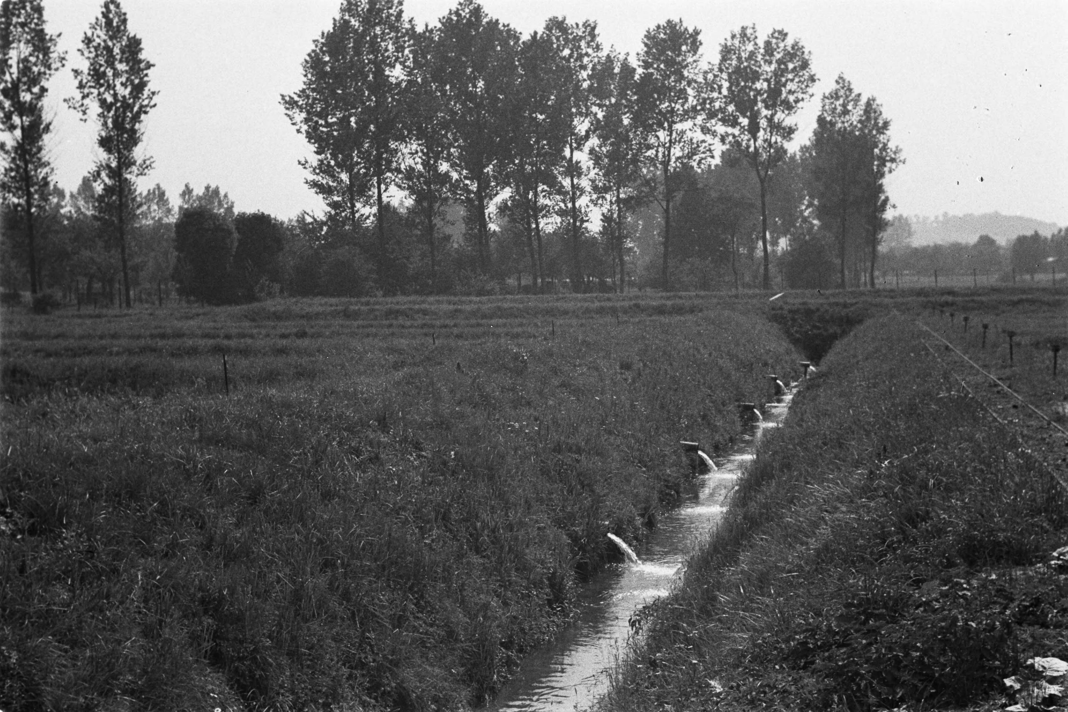 Fotocollectie Nederlandse Heidemaatschappij — afvoer van broedvijvers — Foto: Fotograaf Onbekend / Heidemij. Licentie: Set B: Rechtenvrij / Publiek Domein. Bron: Nationaal Archief. http://hdl.handle.net/10648/ae89de36-d0b4-102d-bcf8-003048976d84