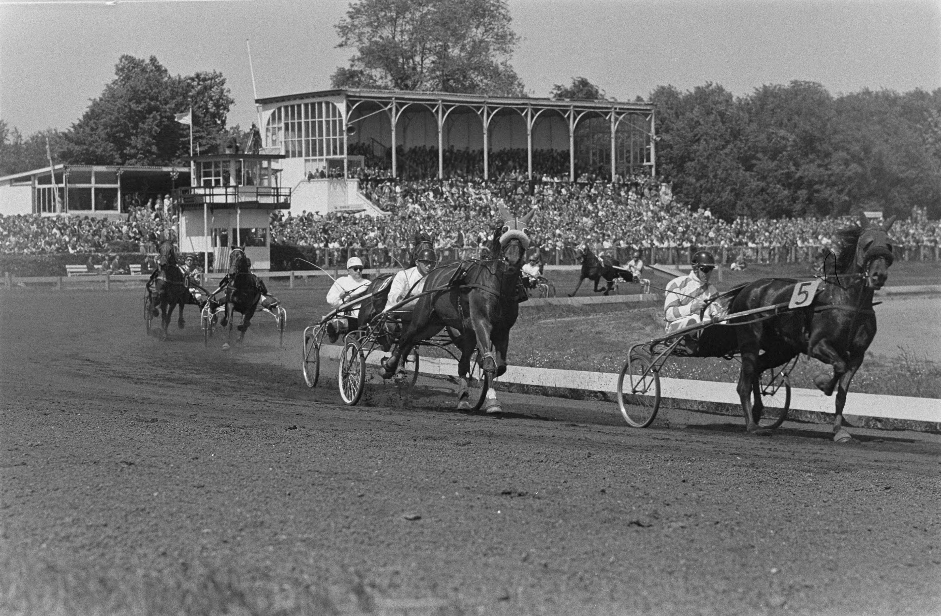 Fotocollectie Anefo — Paardenraces op Duindigt te Den Haag — Foto: Gelderen, Hugo van / Anefo. Licentie: Set B: Rechtenvrij / Publiek Domein. Bron: Nationaal Archief. http://hdl.handle.net/10648/aa391860-d0b4-102d-bcf8-003048976d84