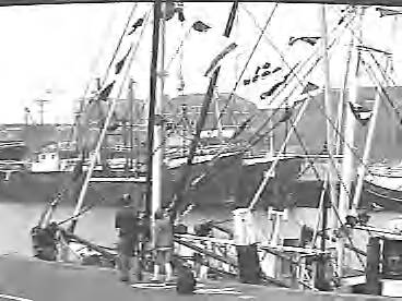 Fotocollectie Rijksvoorlichtingsdienst Eigen — dias vlaggetjesdag scheveningen — Foto: Schuurman, Ralph L. / RVD. Licentie: Set B: Rechtenvrij / Publiek Domein. Bron: Nationaal Archief. http://hdl.handle.net/10648/af7339dc-d0b4-102d-bcf8-003048976d84