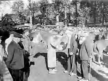 Fotocollectie Anefo — Paardenmarkt in Zuidlaren — Foto: Rossem, Wim van / Anefo. Licentie: Set B: Rechtenvrij / Publiek Domein. Bron: Nationaal Archief. http://hdl.handle.net/10648/a986eeba-d0b4-102d-bcf8-003048976d84