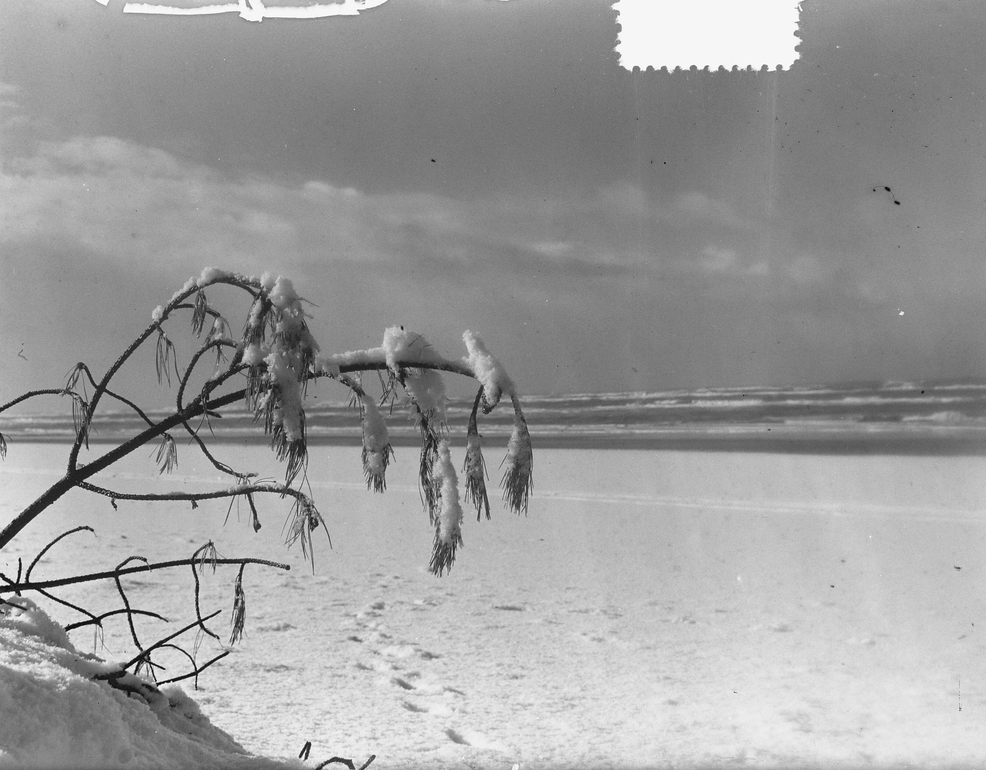Fotocollectie Anefo — Sneeuw op het strand van Zandvoort — Foto: Pot, Harry / Anefo. Licentie: Set B: Rechtenvrij / Publiek Domein. Bron: Nationaal Archief. http://hdl.handle.net/10648/a8f570c0-d0b4-102d-bcf8-003048976d84
