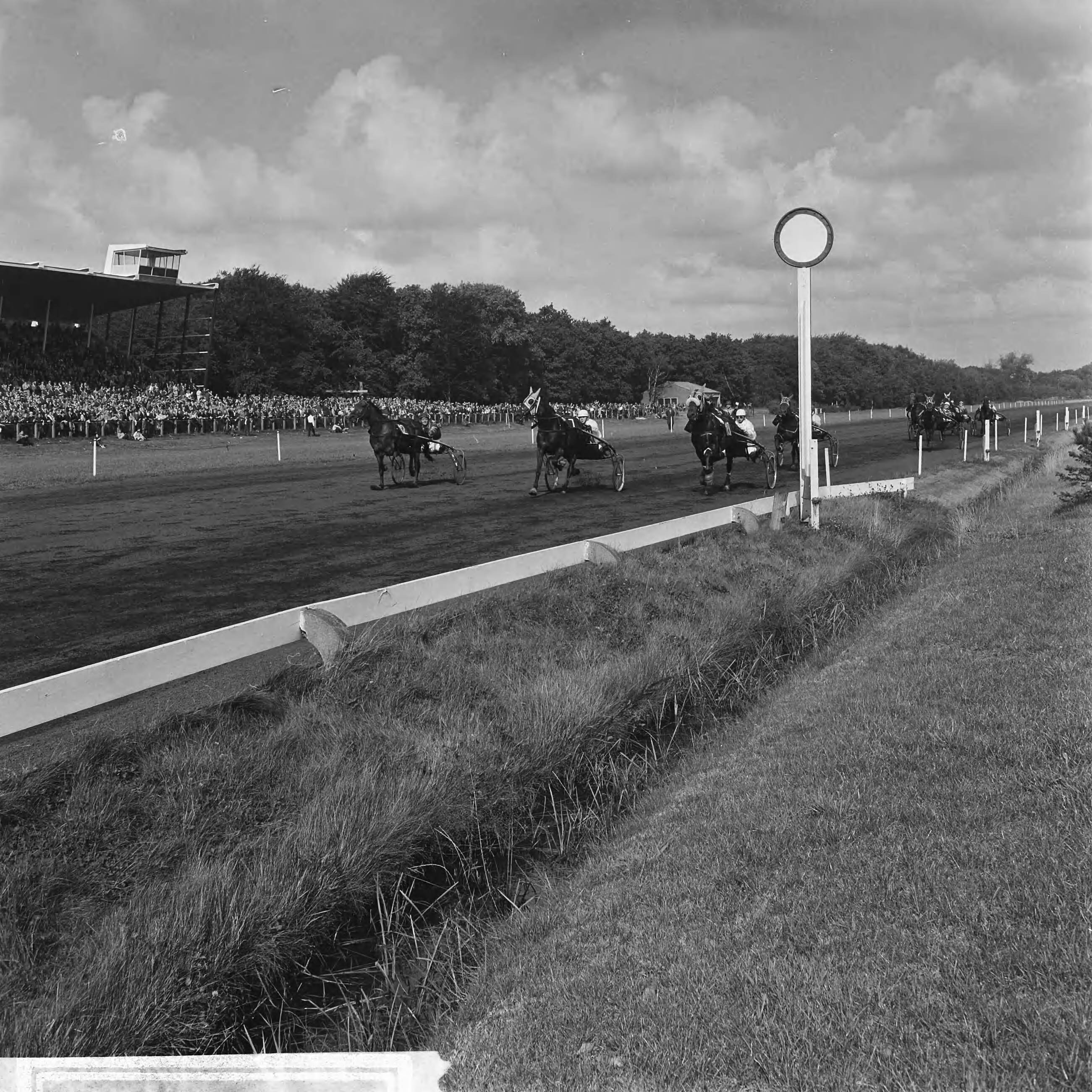 Fotocollectie Anefo — De Gouden Zweep op Duindigt, rennersveld — Foto: Voets, Jan / Anefo. Licentie: Set B: Rechtenvrij / Publiek Domein. Bron: Nationaal Archief. http://hdl.handle.net/10648/aac14fb4-d0b4-102d-bcf8-003048976d84