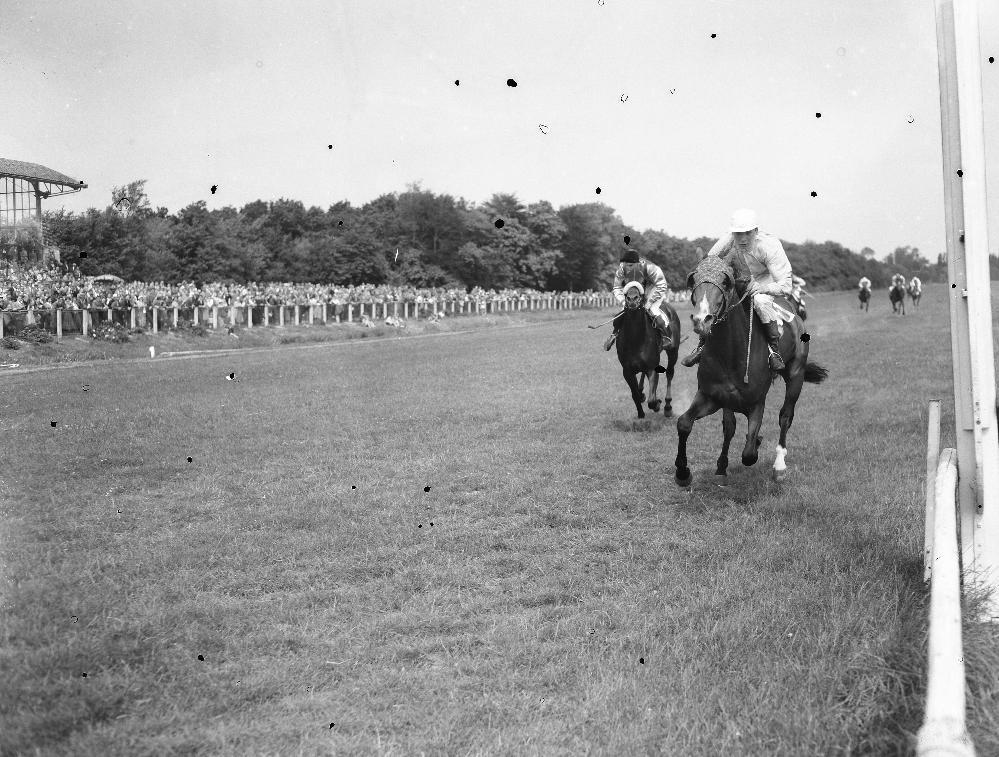 Fotocollectie Anefo — Paardenrennen. Koers op Duindigt — Foto: Noske, J.D. / Anefo. Licentie: Set B: Rechtenvrij / Publiek Domein. Bron: Nationaal Archief. http://hdl.handle.net/10648/a93877da-d0b4-102d-bcf8-003048976d84