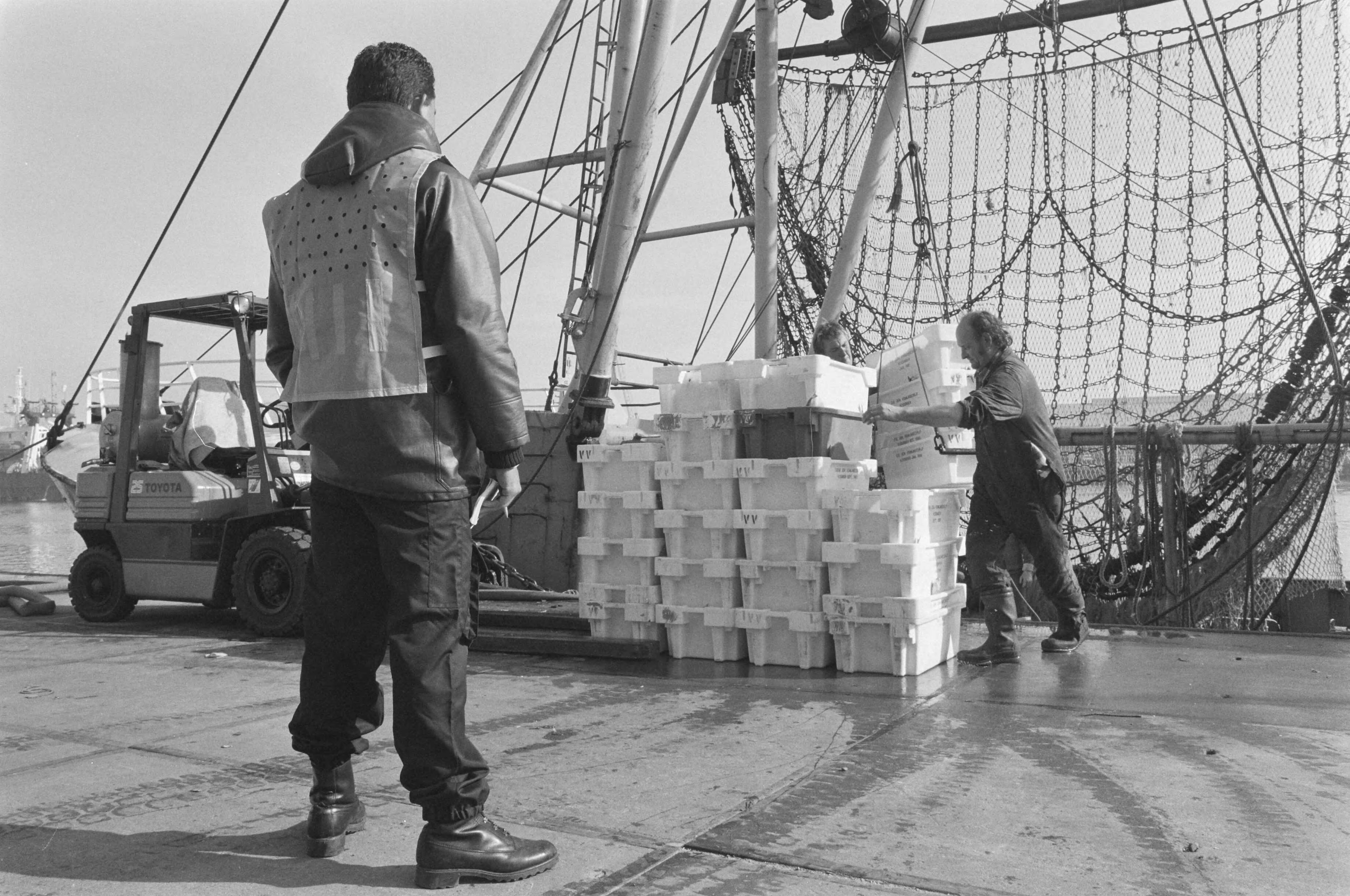 Fotocollectie Anefo — Enige honderden leden Mobiele Eenheid assisteren controleurs AID bij aanvoer visvangsten in Vlissingen — Foto: Croes, Rob C. / Anefo. Licentie: Set B: Rechtenvrij / Publiek Domein. Bron: Nationaal Archief. http://hdl.handle.net/10648/ad6df65e-d0b4-102d-bcf8-003048976d84