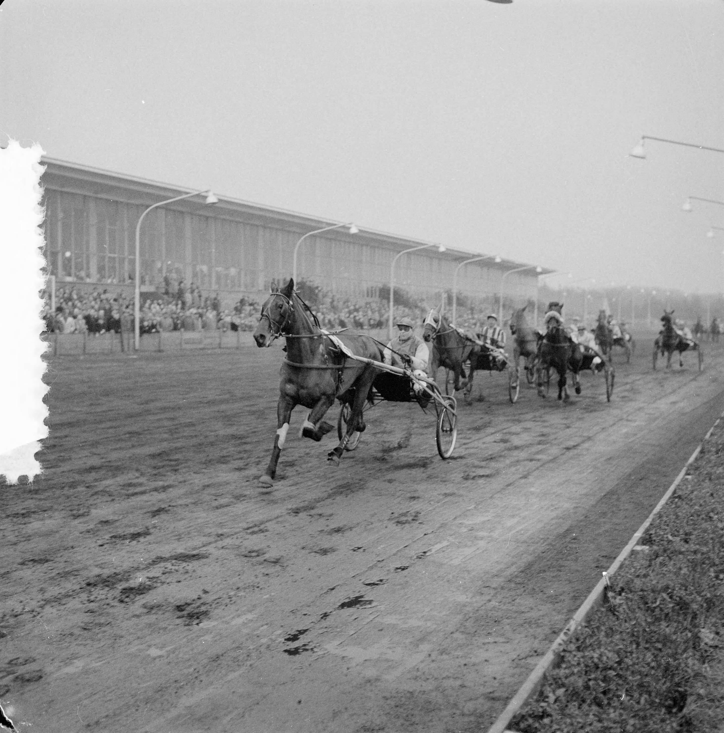 Fotocollectie Anefo — Draverijen Hilversum, Gentleman prijs — Foto: Behrens, Herbert F. / Anefo. Licentie: Set B: Rechtenvrij / Publiek Domein. Bron: Nationaal Archief. http://hdl.handle.net/10648/a94243c8-d0b4-102d-bcf8-003048976d84
