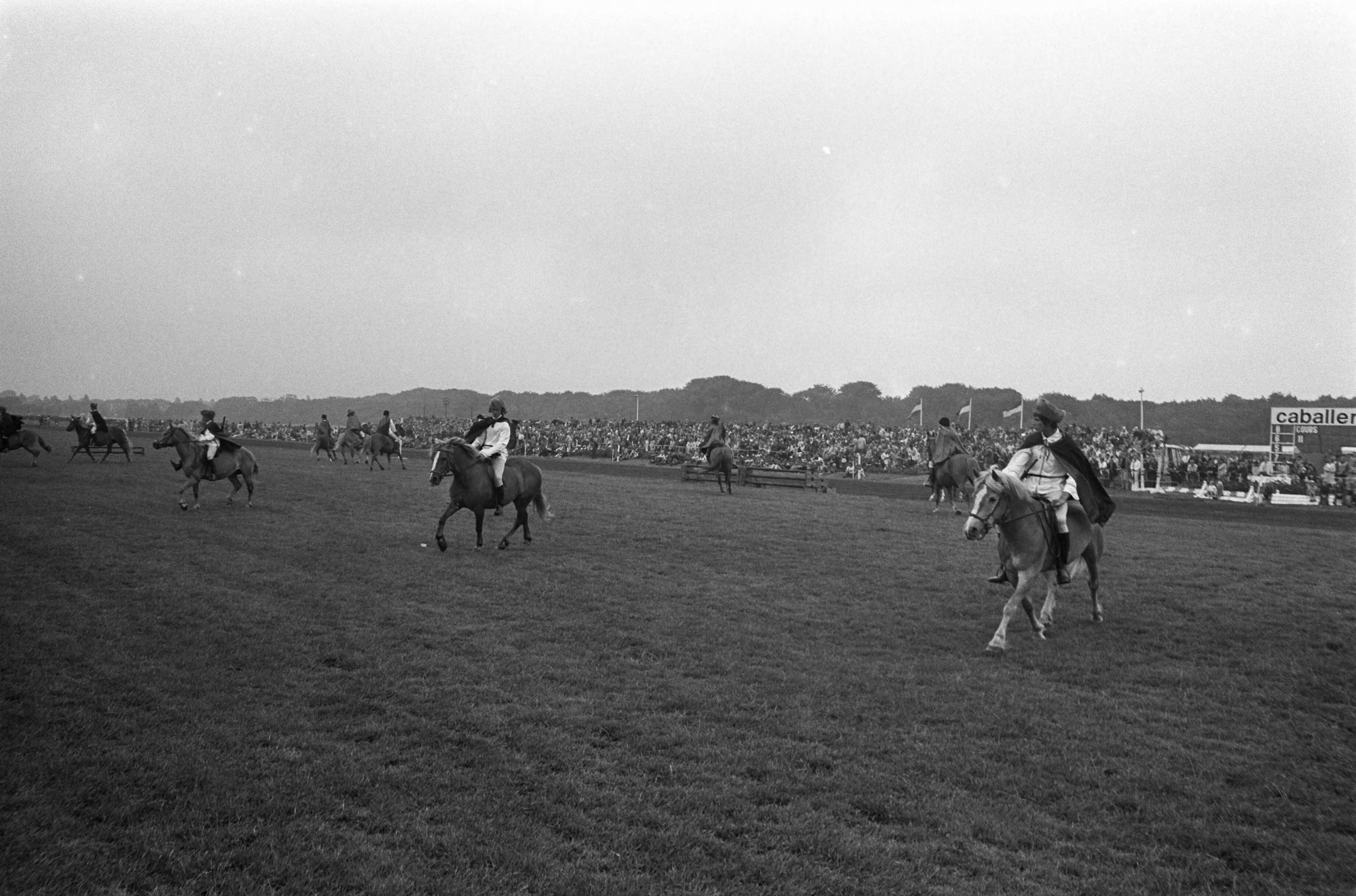 Fotocollectie Anefo — Dag van het paard op Duindigt — Foto: Verhoeff, Bert / Anefo. Licentie: Set B: Rechtenvrij / Publiek Domein. Bron: Nationaal Archief. http://hdl.handle.net/10648/ac316fb4-d0b4-102d-bcf8-003048976d84