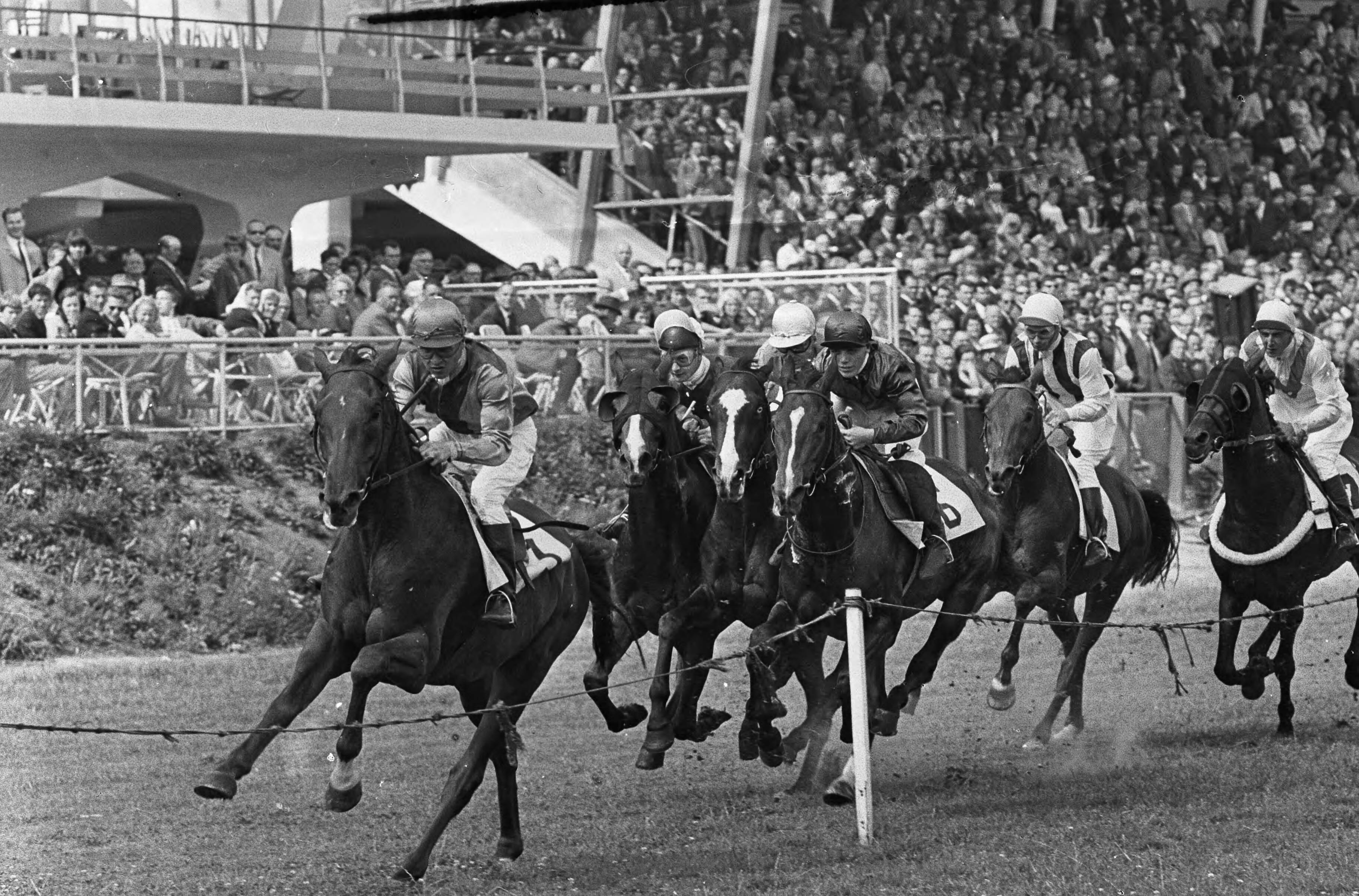 Fotocollectie Anefo — Rennen en draverijen op Duindigt, het veld in de bocht voor de hoofdtribune — Foto: Pot, Harry / Anefo (1). Licentie: Set B: Rechtenvrij / Publiek Domein. Bron: Nationaal Archief. http://hdl.handle.net/10648/aa71359c-d0b4-102d-bcf8-003048976d84